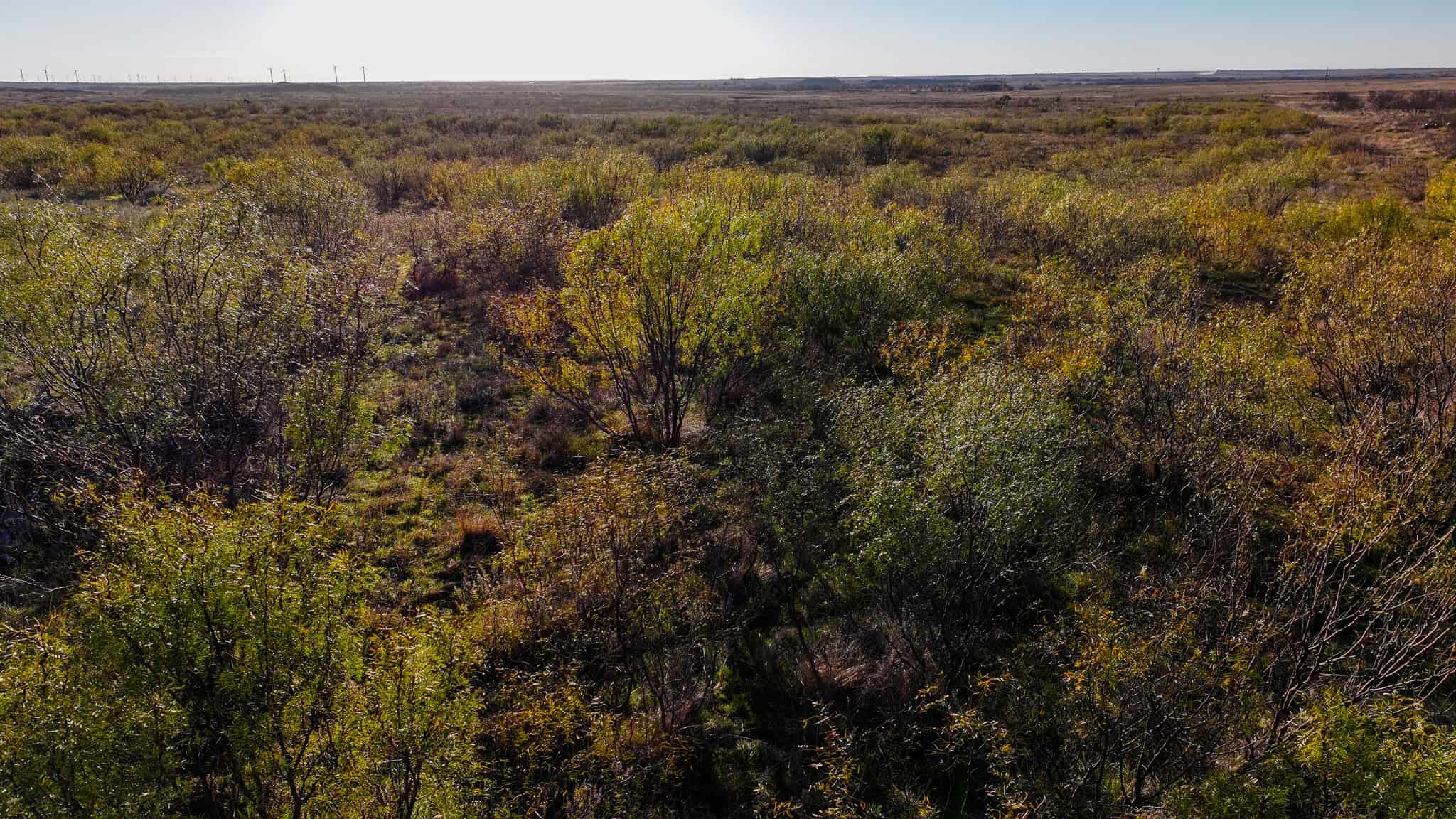 962 ac Exceptional Hunting & Livestock Opportunity in Archer County Texas