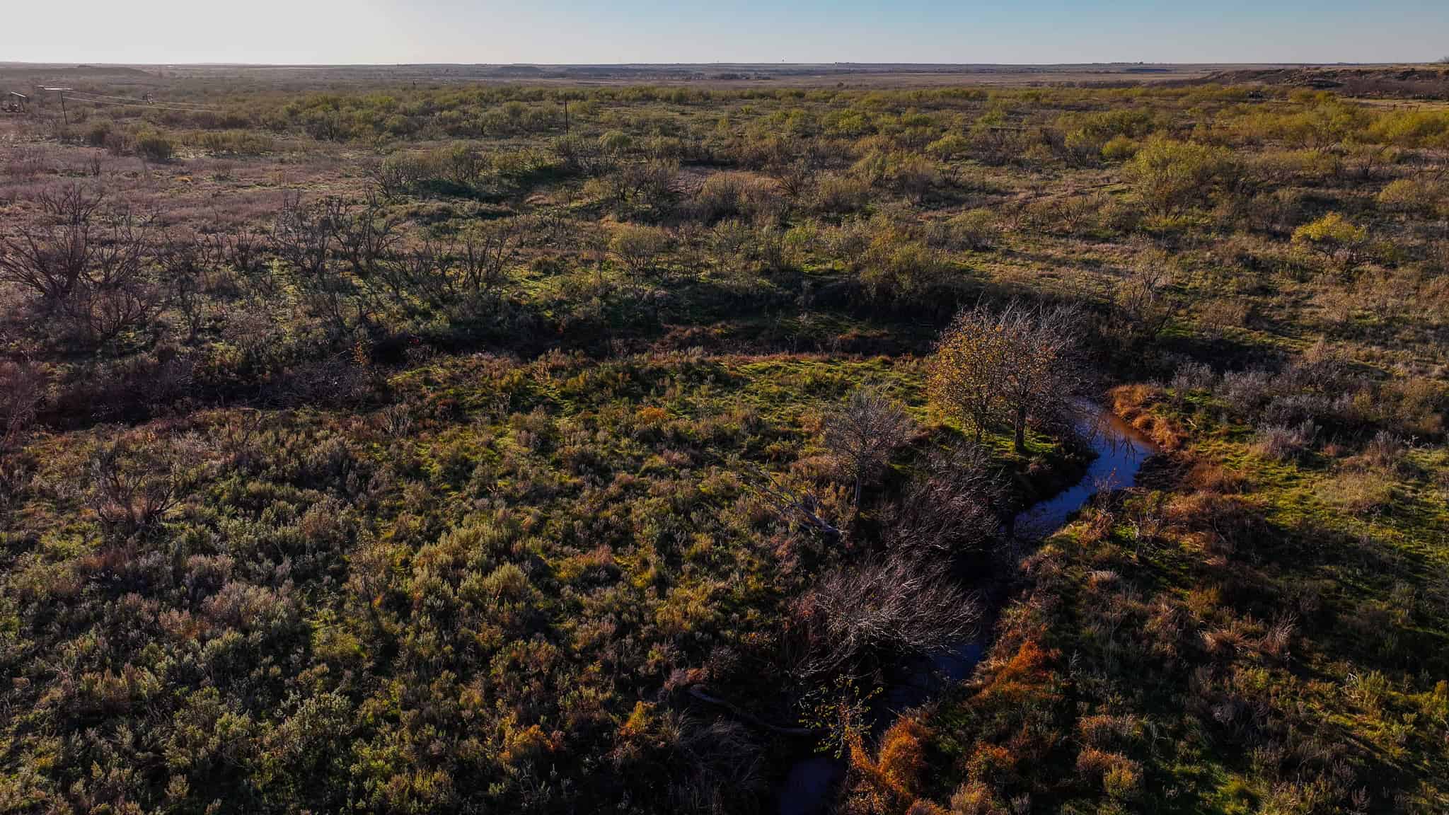 962 ac Exceptional Hunting & Livestock Opportunity in Archer County Texas
