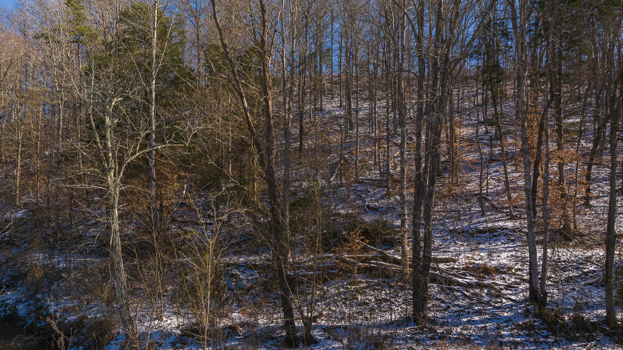 Unlock Your Dream Getaway in Hawkins County, Tennessee!