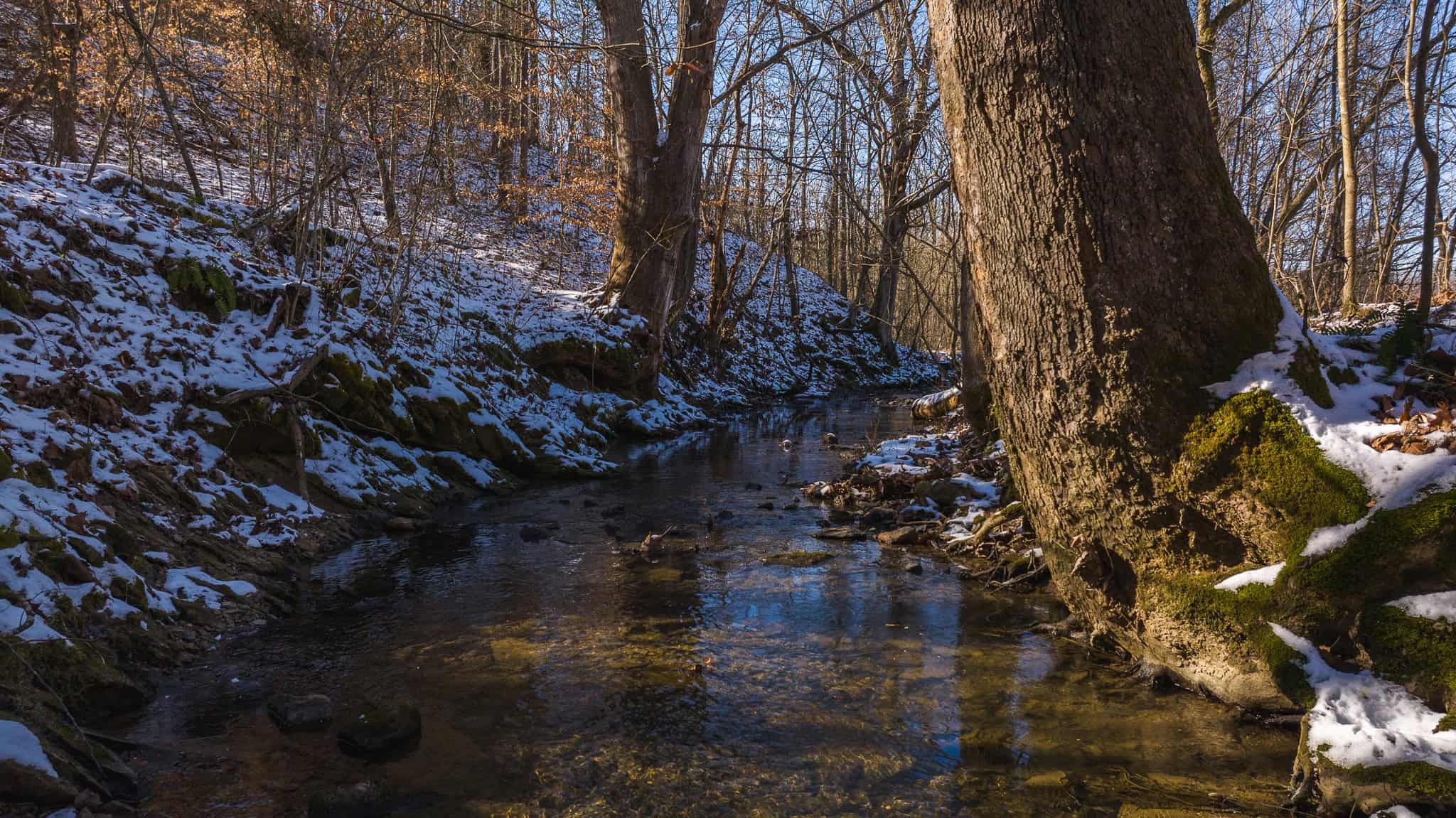 Unlock Your Dream Getaway in Hawkins County, Tennessee!