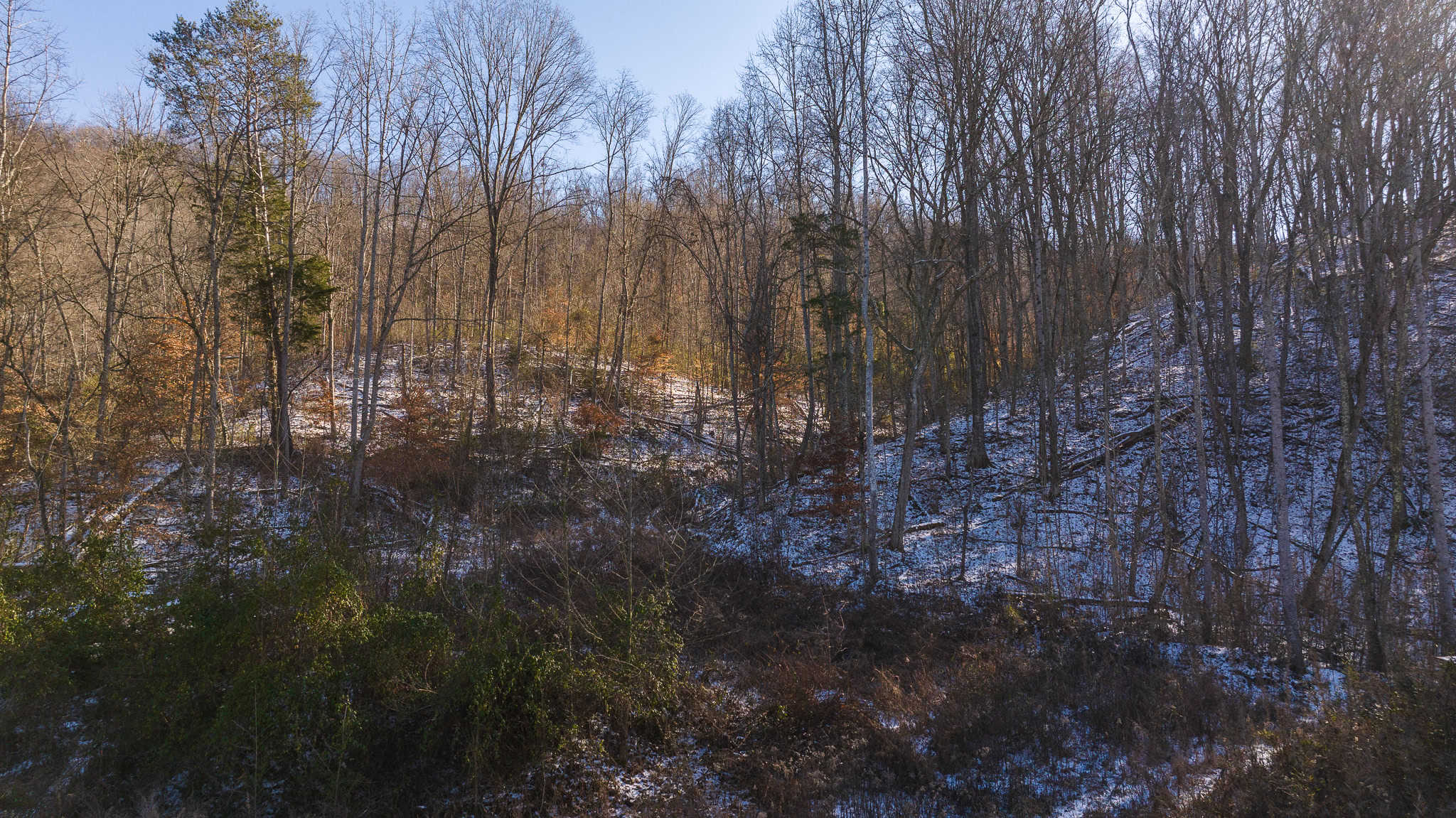 Unlock Your Dream Getaway in Hawkins County, Tennessee!
