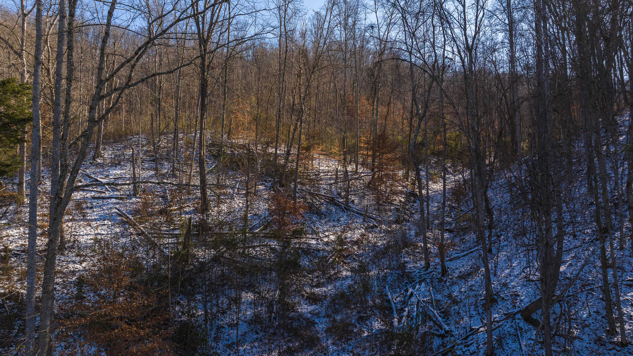 Unlock Your Dream Getaway in Hawkins County, Tennessee!