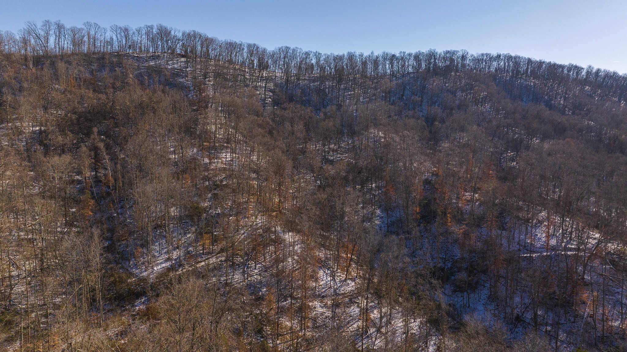 Unlock Your Dream Getaway in Hawkins County, Tennessee!