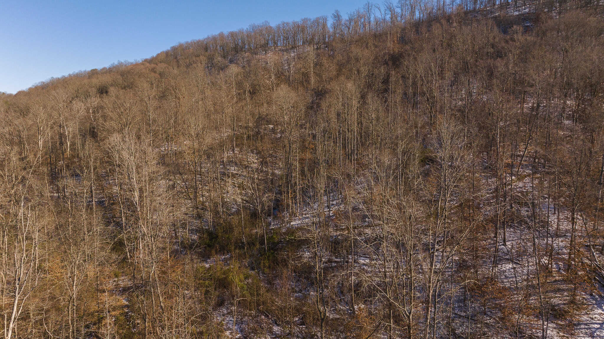 Unlock Your Dream Getaway in Hawkins County, Tennessee!