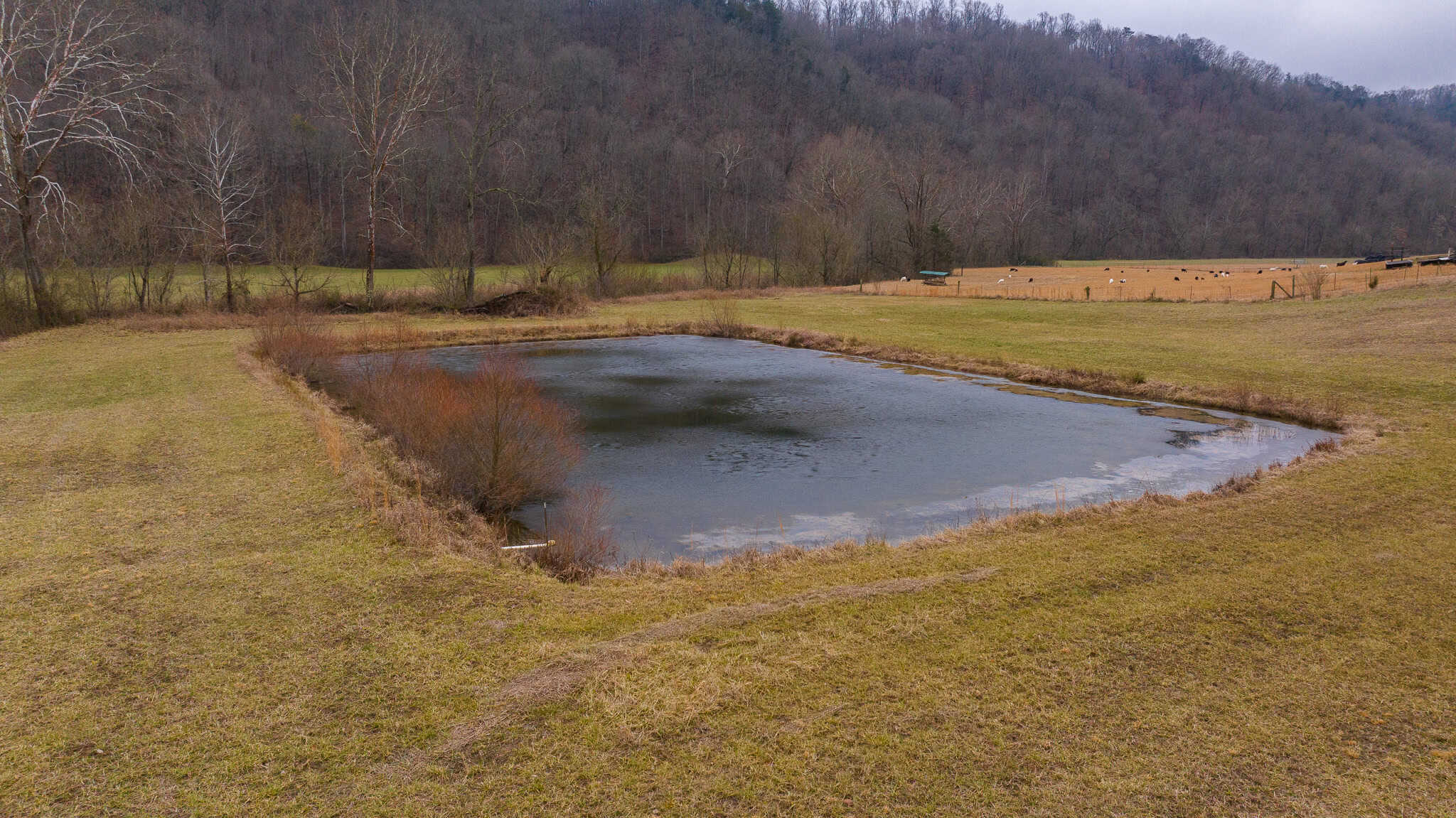 East Tennessee Farm for Sale – 74.83 Acres in Greene County