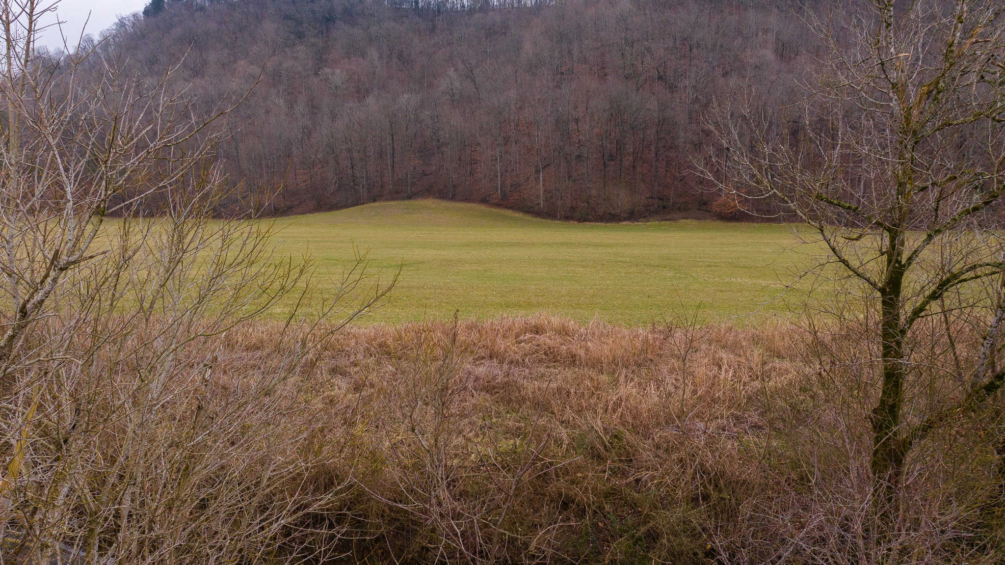 East Tennessee Farm for Sale – 74.83 Acres in Greene County