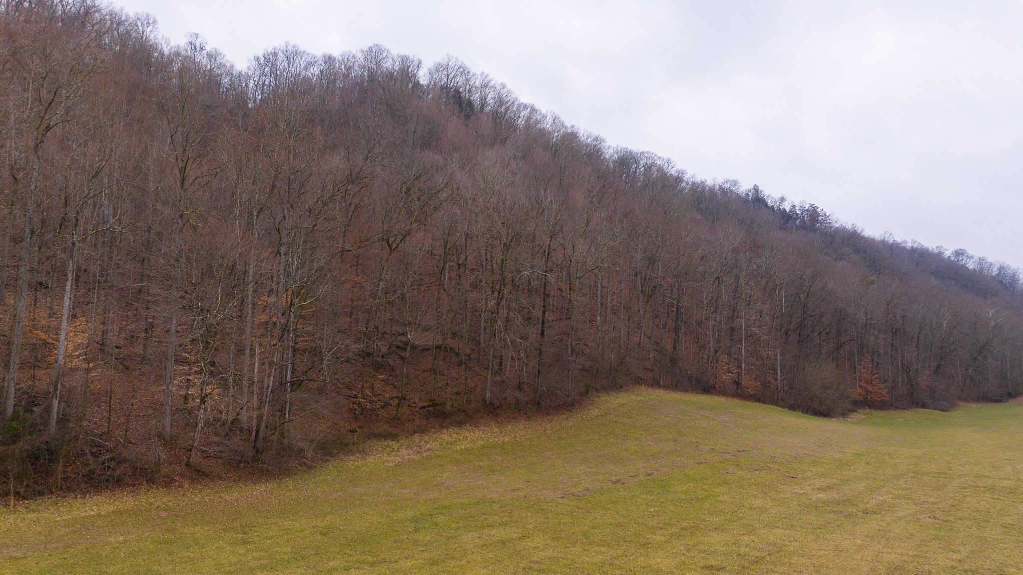 East Tennessee Farm for Sale – 74.83 Acres in Greene County