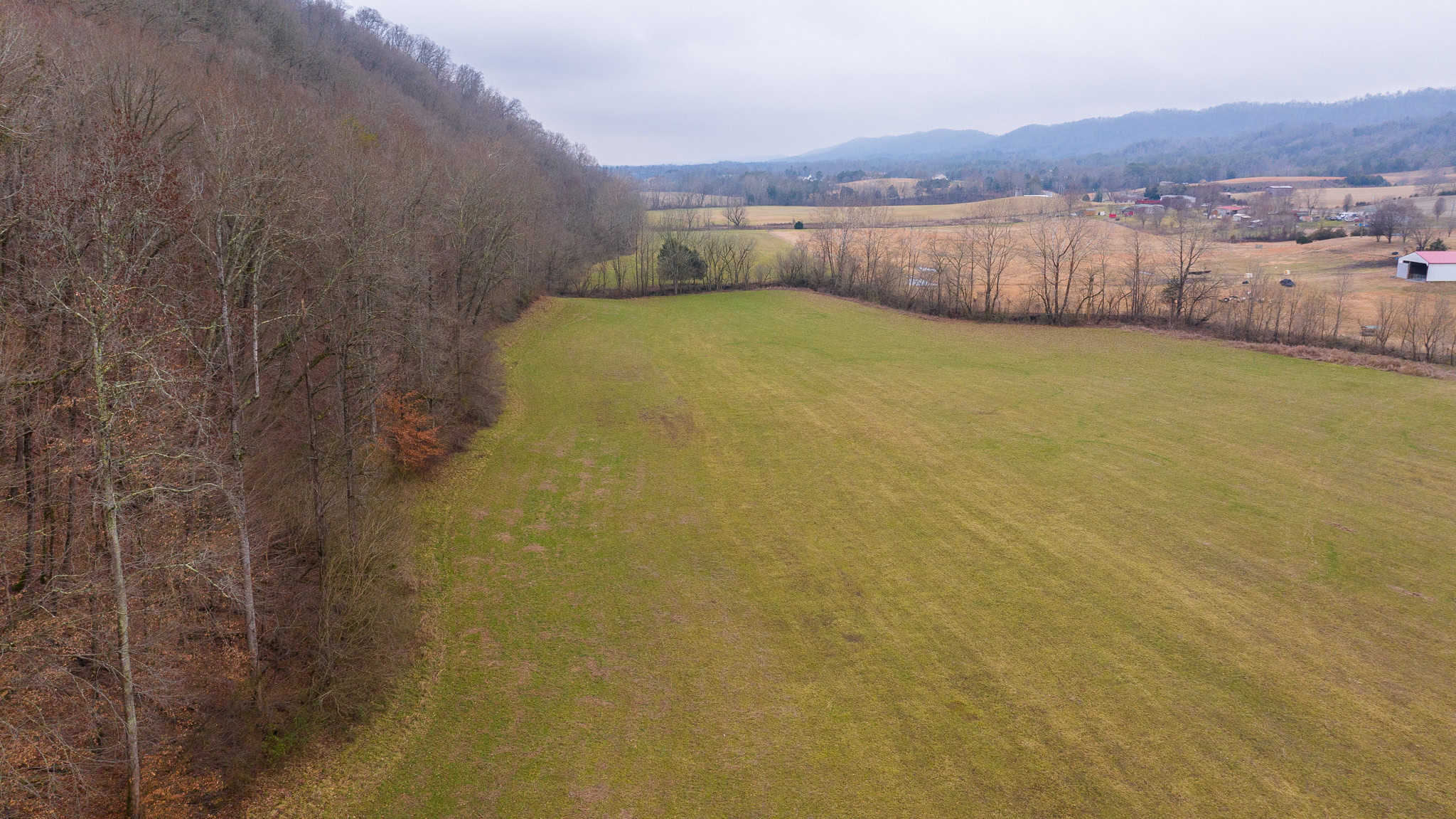 East Tennessee Farm for Sale – 74.83 Acres in Greene County
