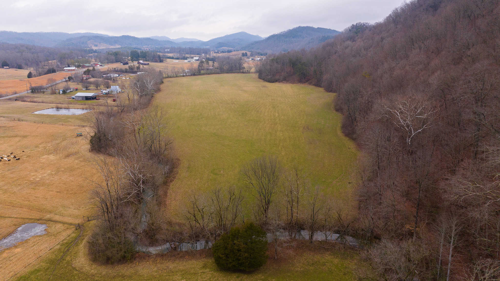 East Tennessee Farm for Sale – 74.83 Acres in Greene County