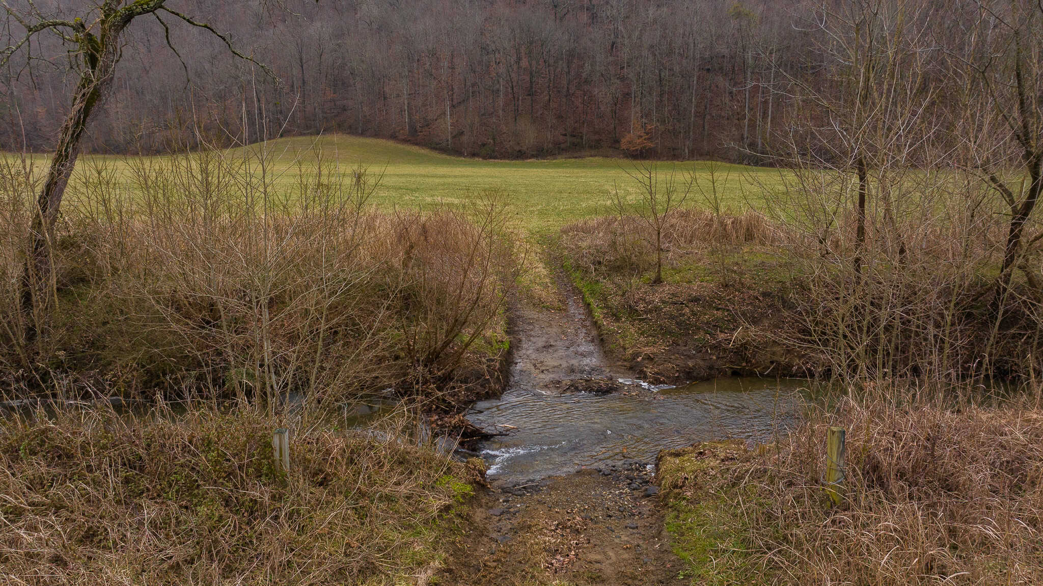 East Tennessee Farm for Sale – 74.83 Acres in Greene County