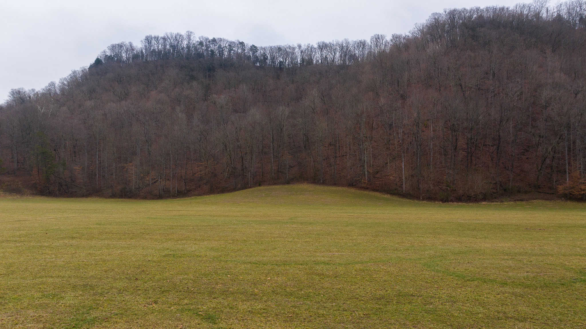 East Tennessee Farm for Sale – 74.83 Acres in Greene County