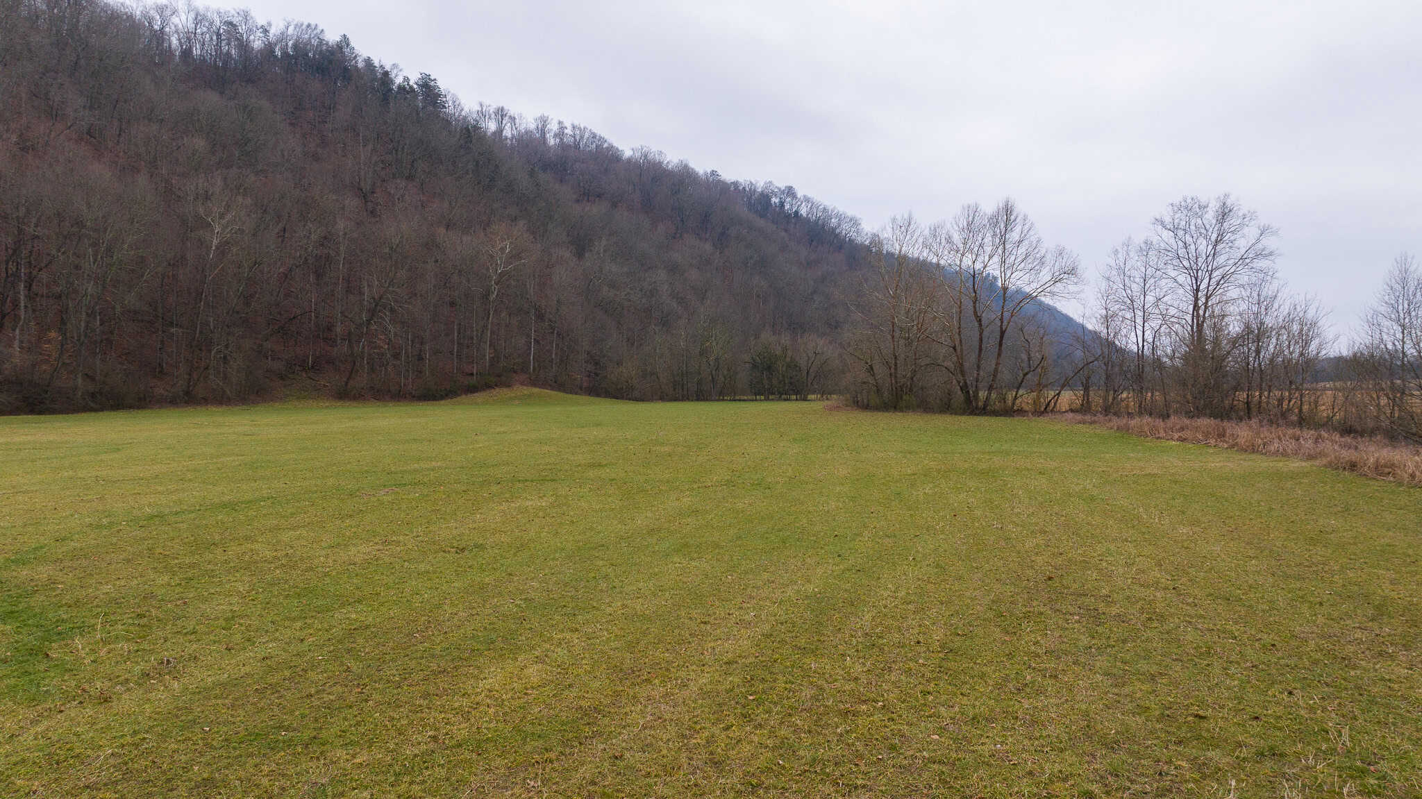 East Tennessee Farm for Sale – 74.83 Acres in Greene County