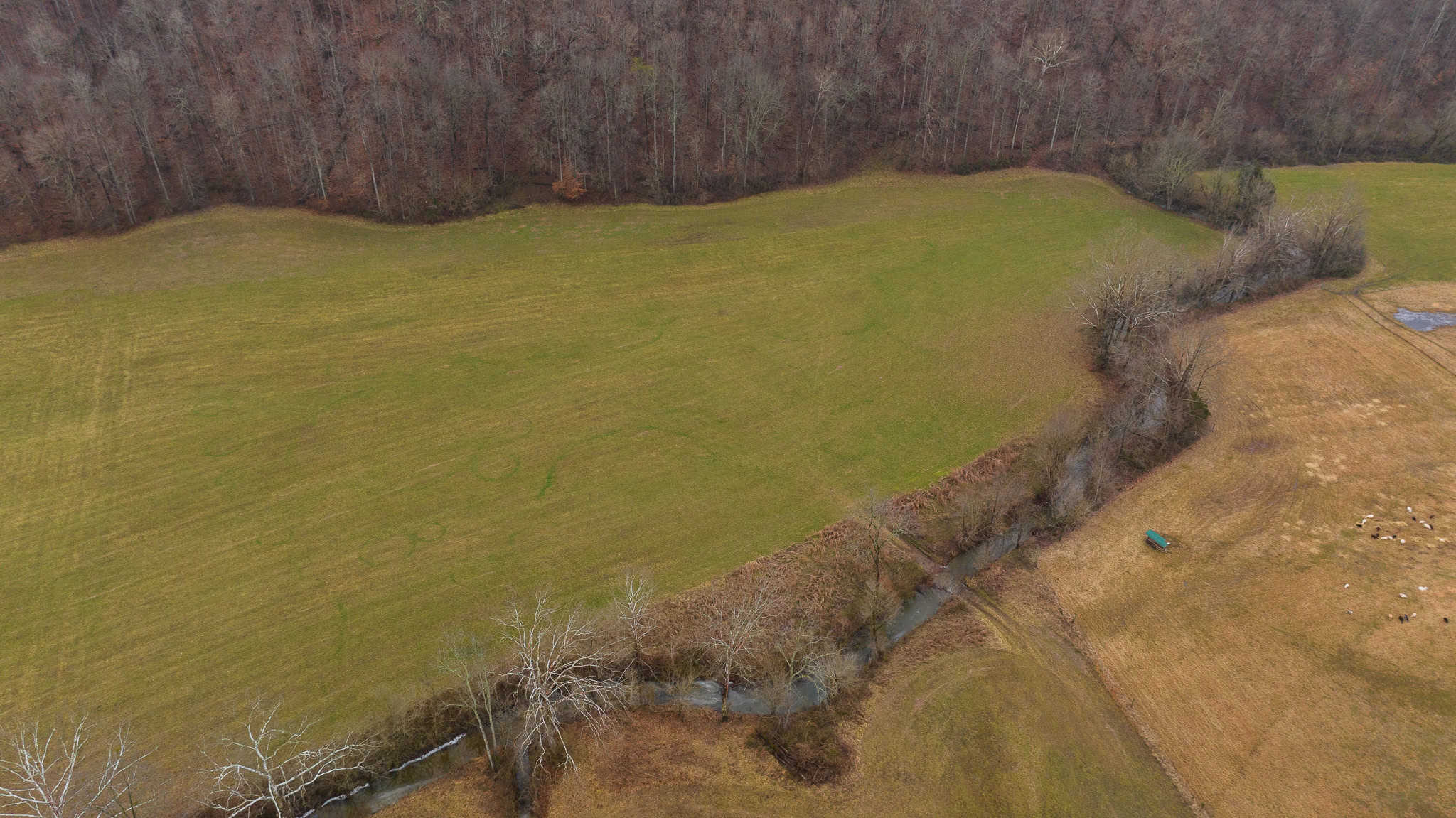 East Tennessee Farm for Sale – 74.83 Acres in Greene County