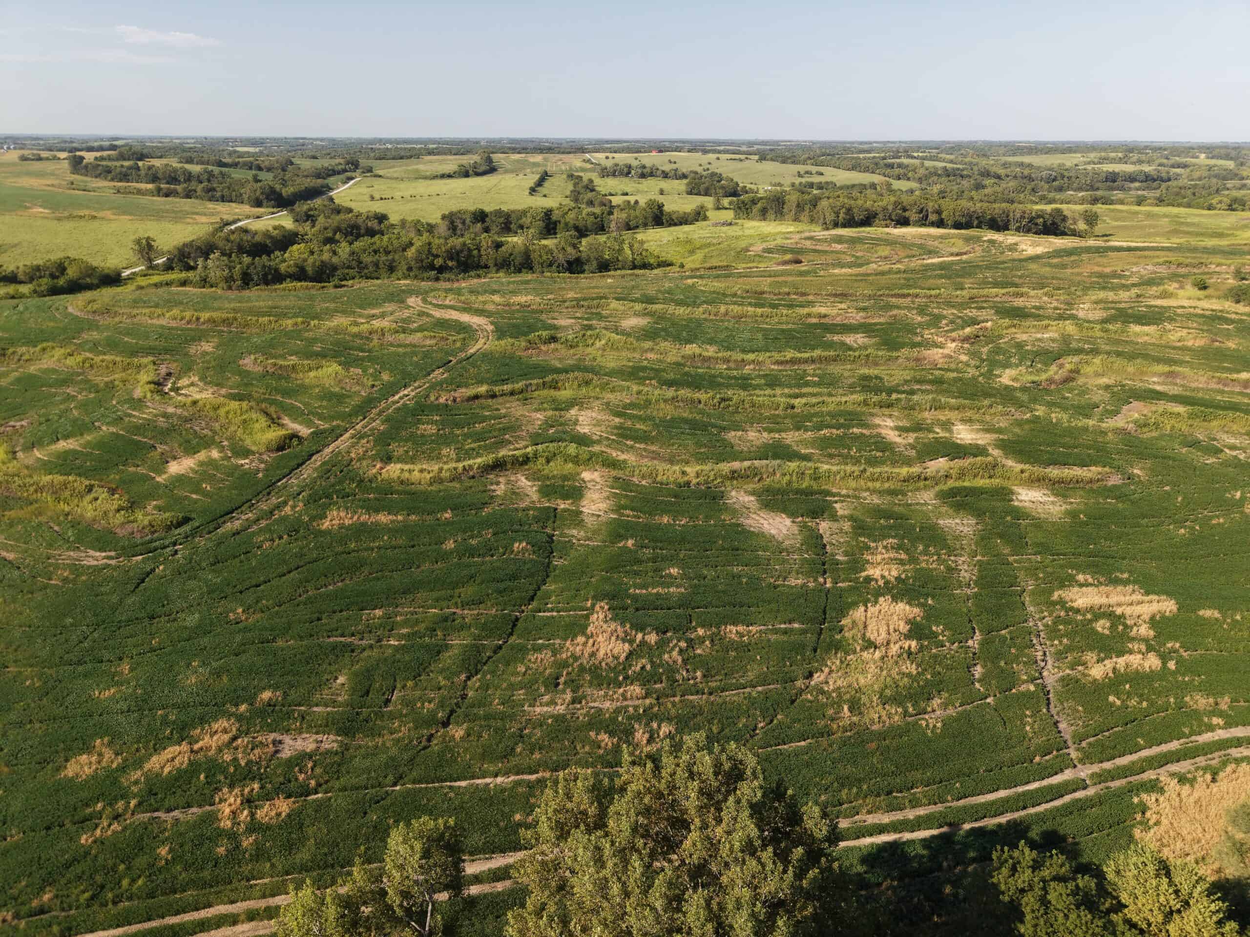 Albany, Mo farm ground with 631 m/l acres