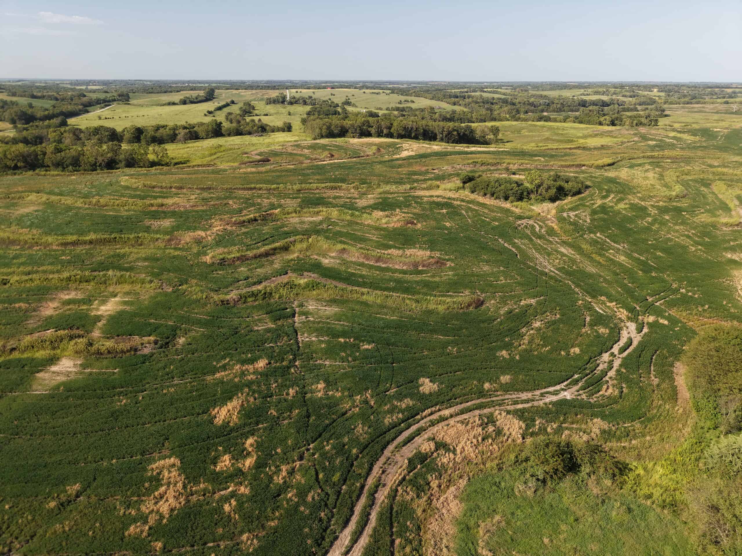 Albany, Mo farm ground with 631 m/l acres