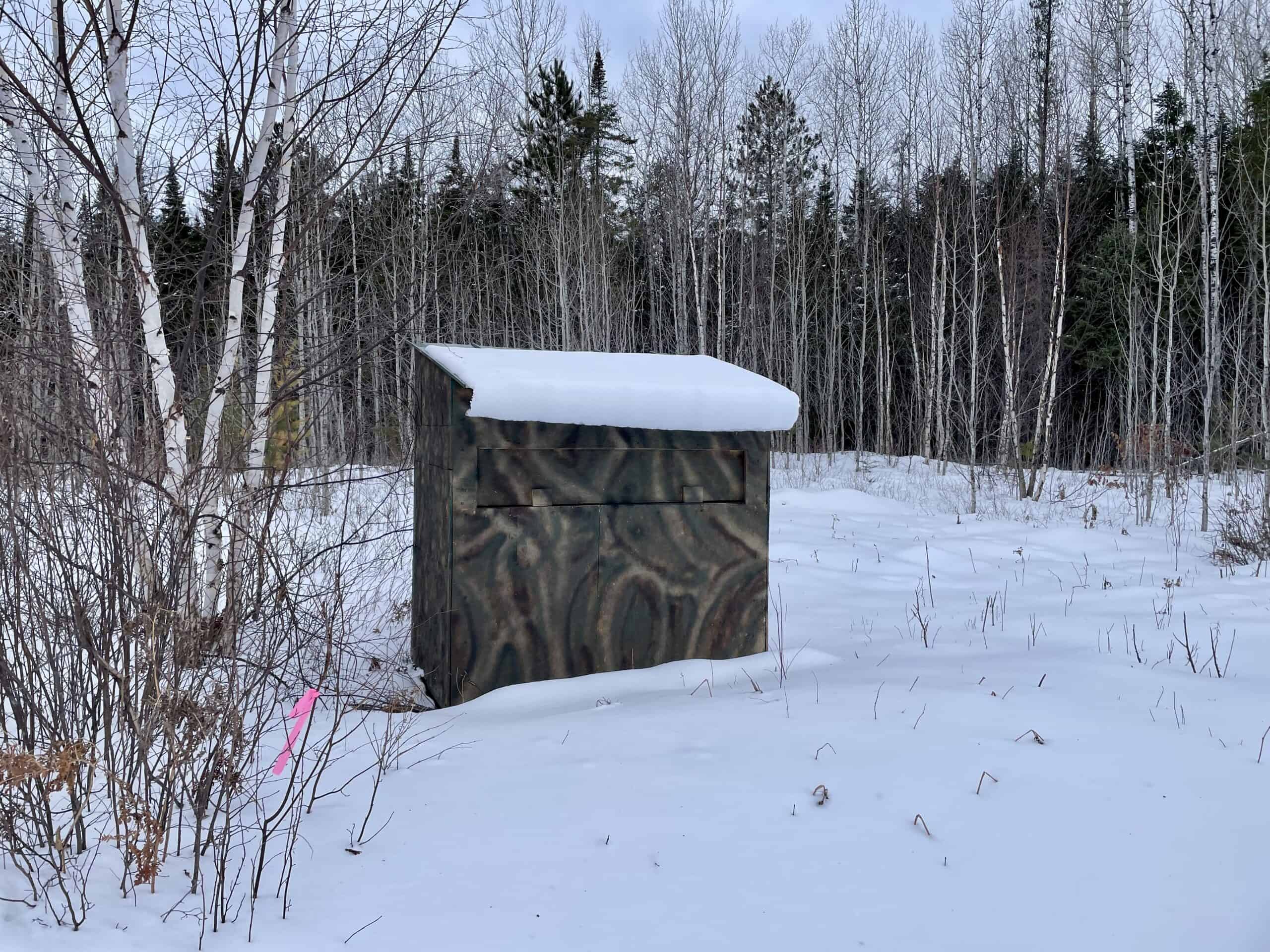 The Side Lake 80 Ac – Hunting & Recreational Property In St. Louis County, MN