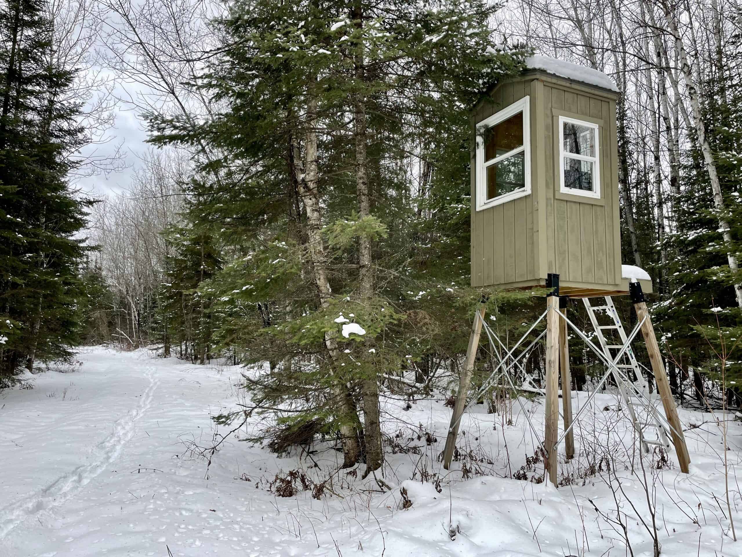 The Side Lake 80 Ac – Hunting & Recreational Property In St. Louis County, MN