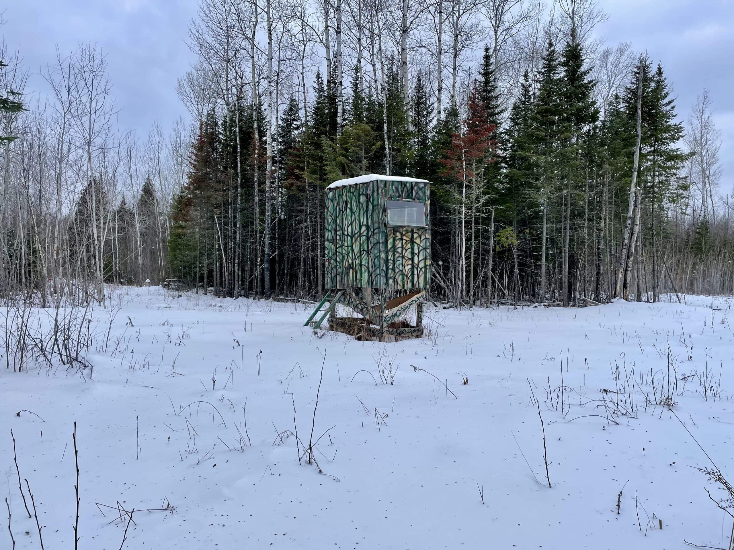 The Side Lake 80 Ac – Hunting & Recreational Property In St. Louis County, MN