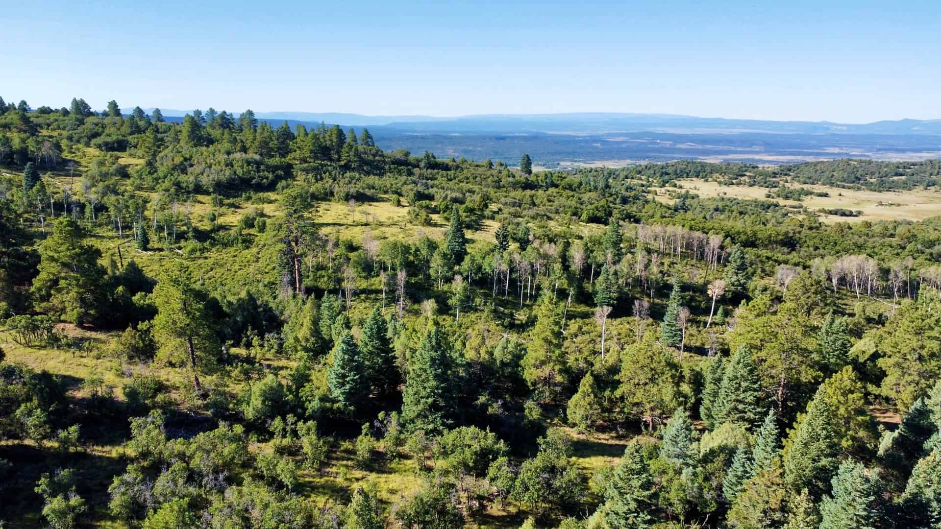Big Creek Ranch, Chama New Mexico