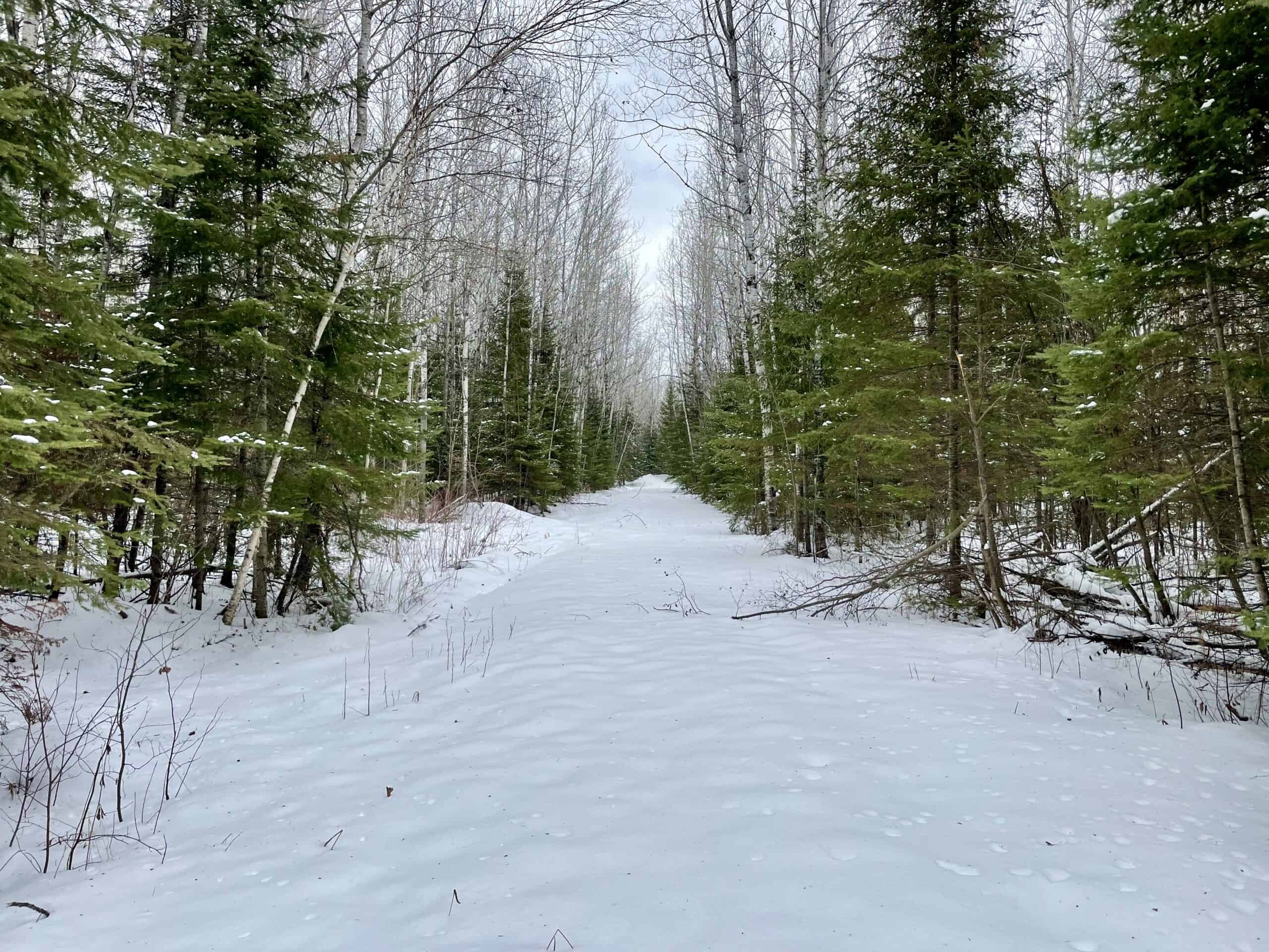The Side Lake 80 Ac – Hunting & Recreational Property In St. Louis County, MN