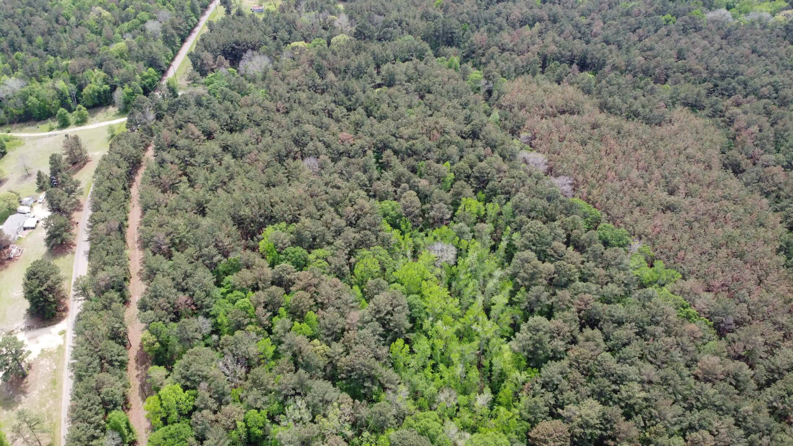 SOLD! Troup TX Hunting Land in Smith County East of Dallas