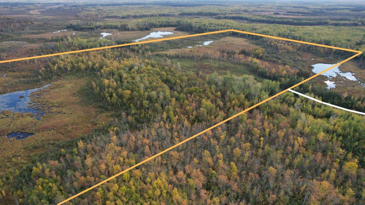 The Side Lake 80 Ac – Hunting & Recreational Property In St. Louis County, MN