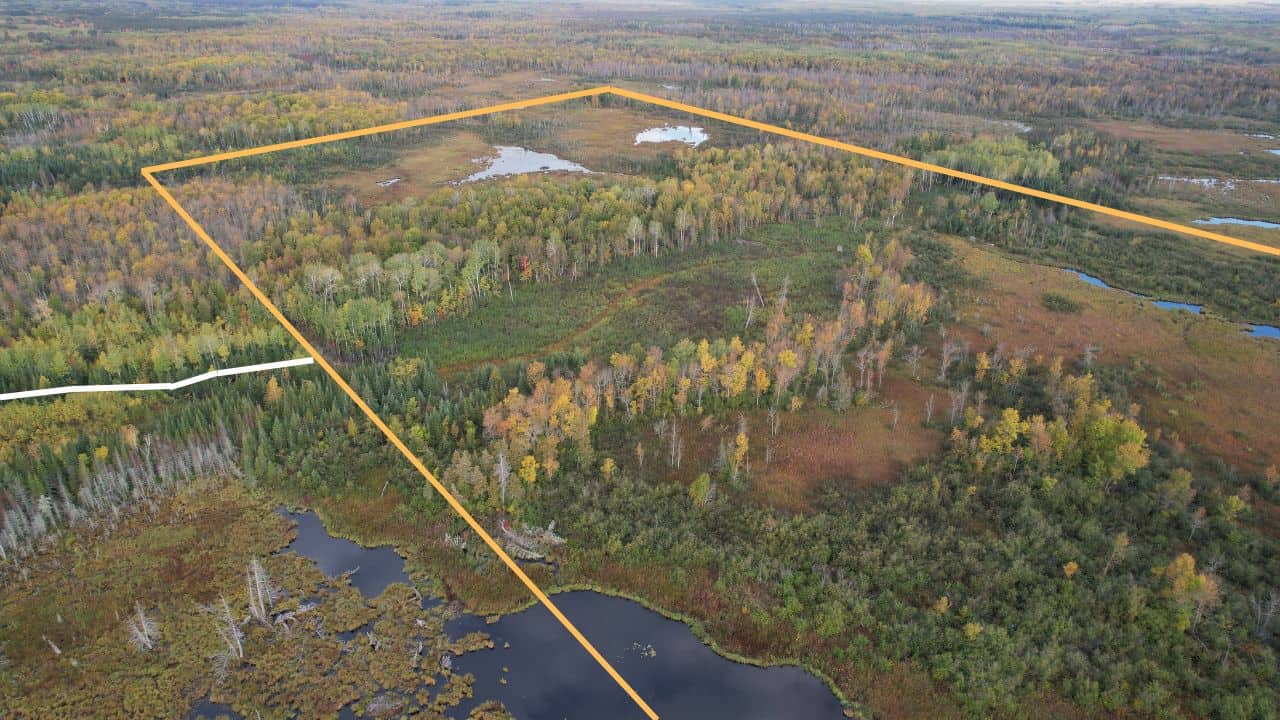 The Side Lake 80 Ac – Hunting & Recreational Property In St. Louis County, MN