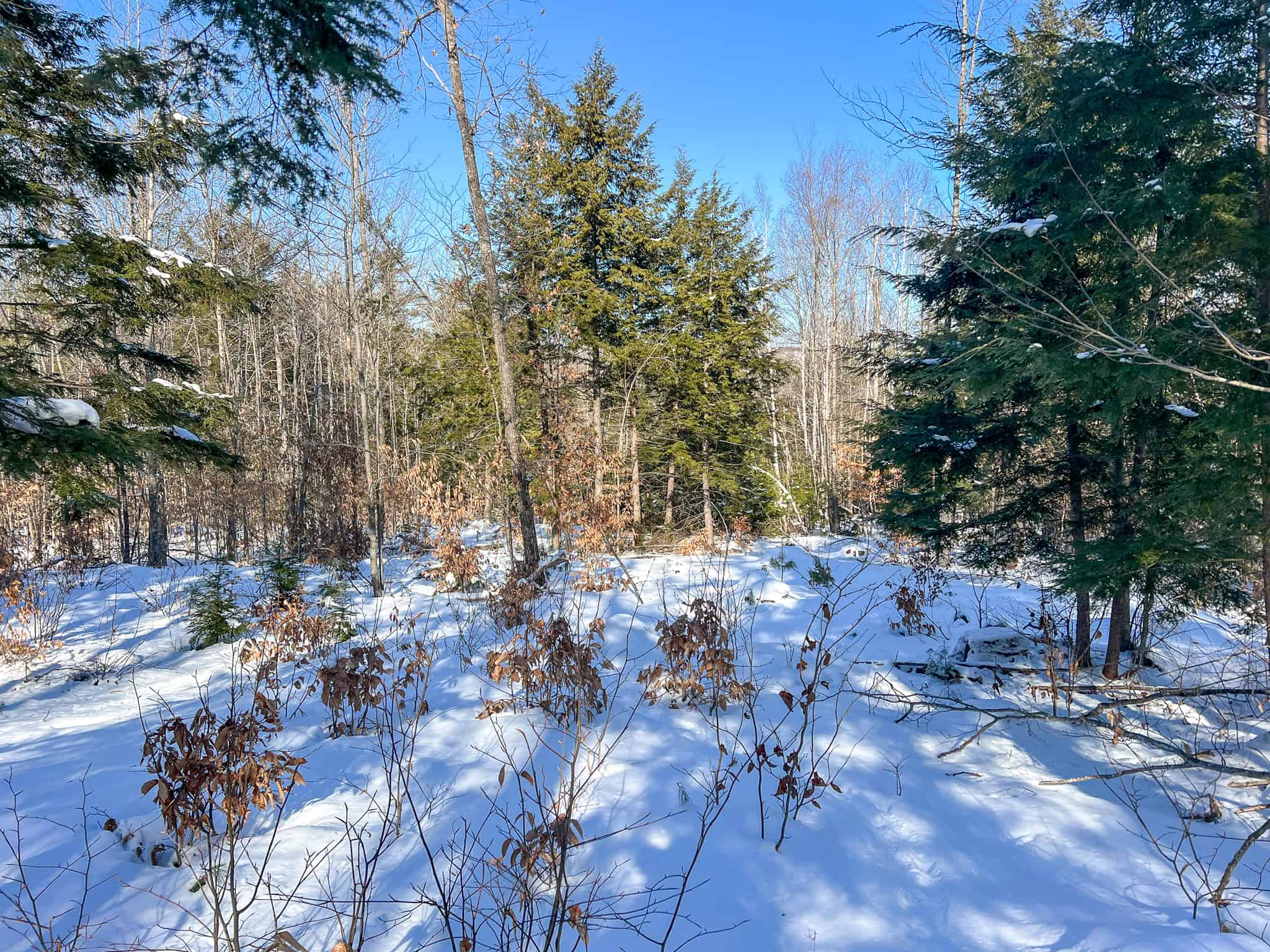 Escape to the Serenity of Nature – 21.535 Acres in Porter, Maine