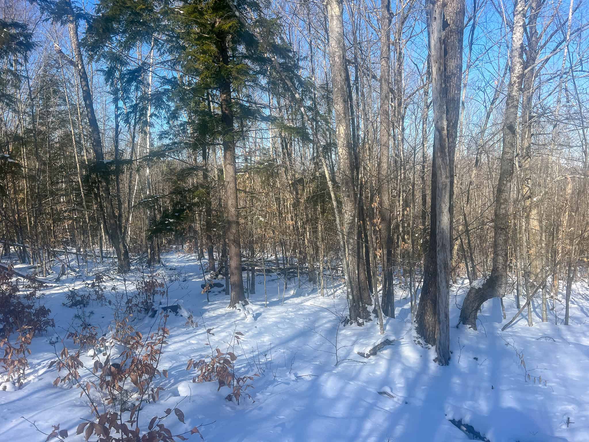 Escape to the Serenity of Nature – 21.535 Acres in Porter, Maine