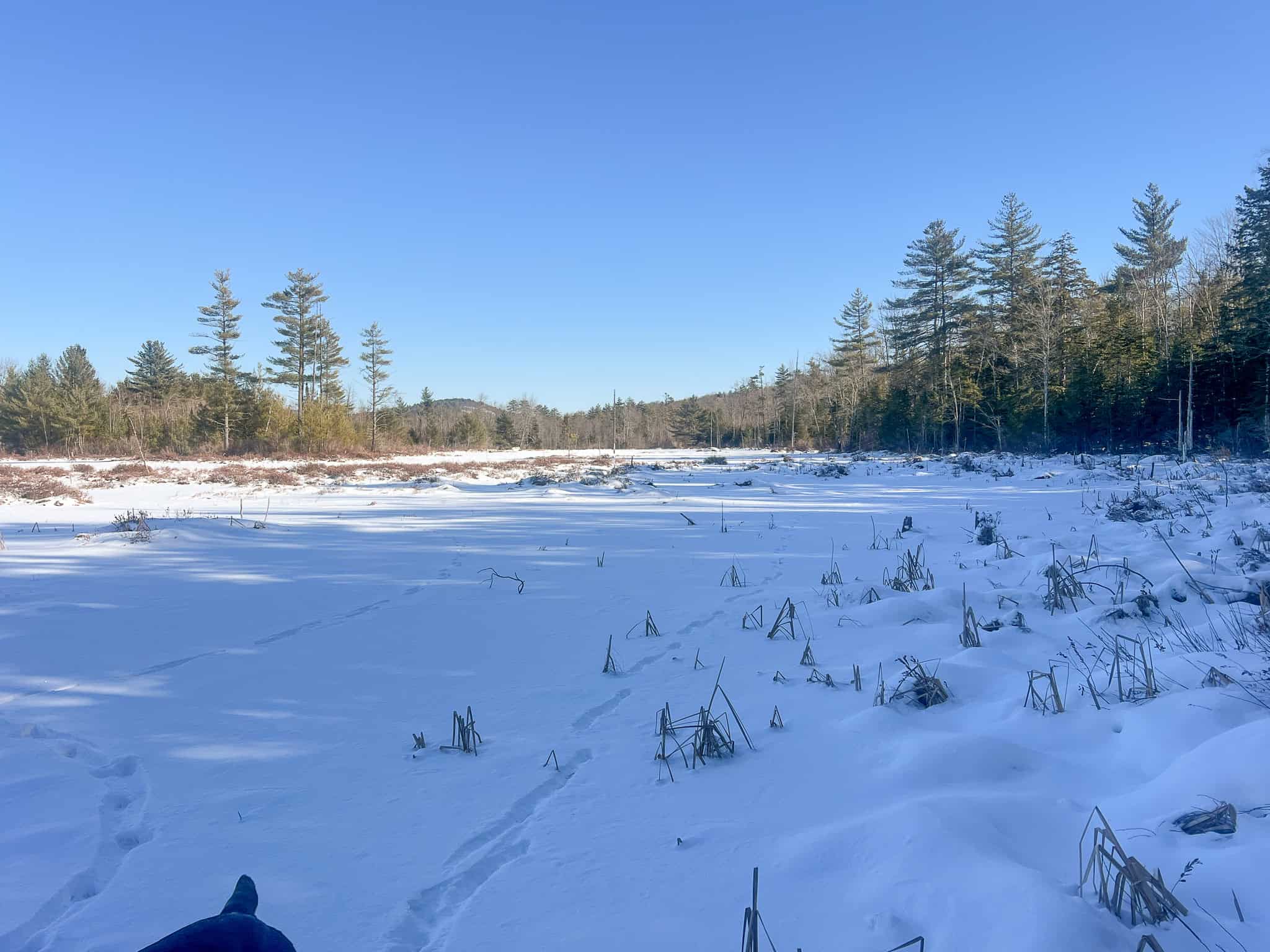 Escape to the Serenity of Nature – 21.535 Acres in Porter, Maine