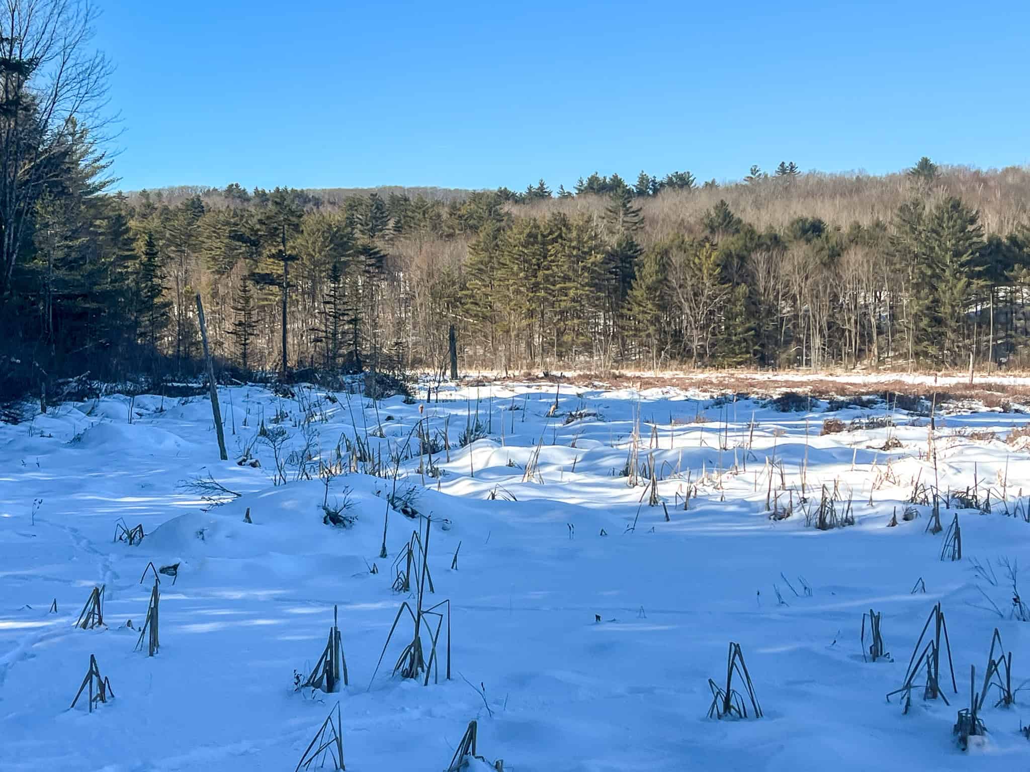 Escape to the Serenity of Nature – 21.535 Acres in Porter, Maine
