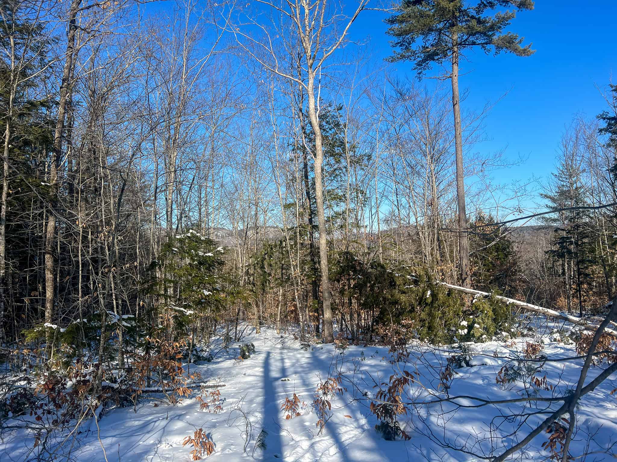 Escape to the Serenity of Nature – 21.535 Acres in Porter, Maine