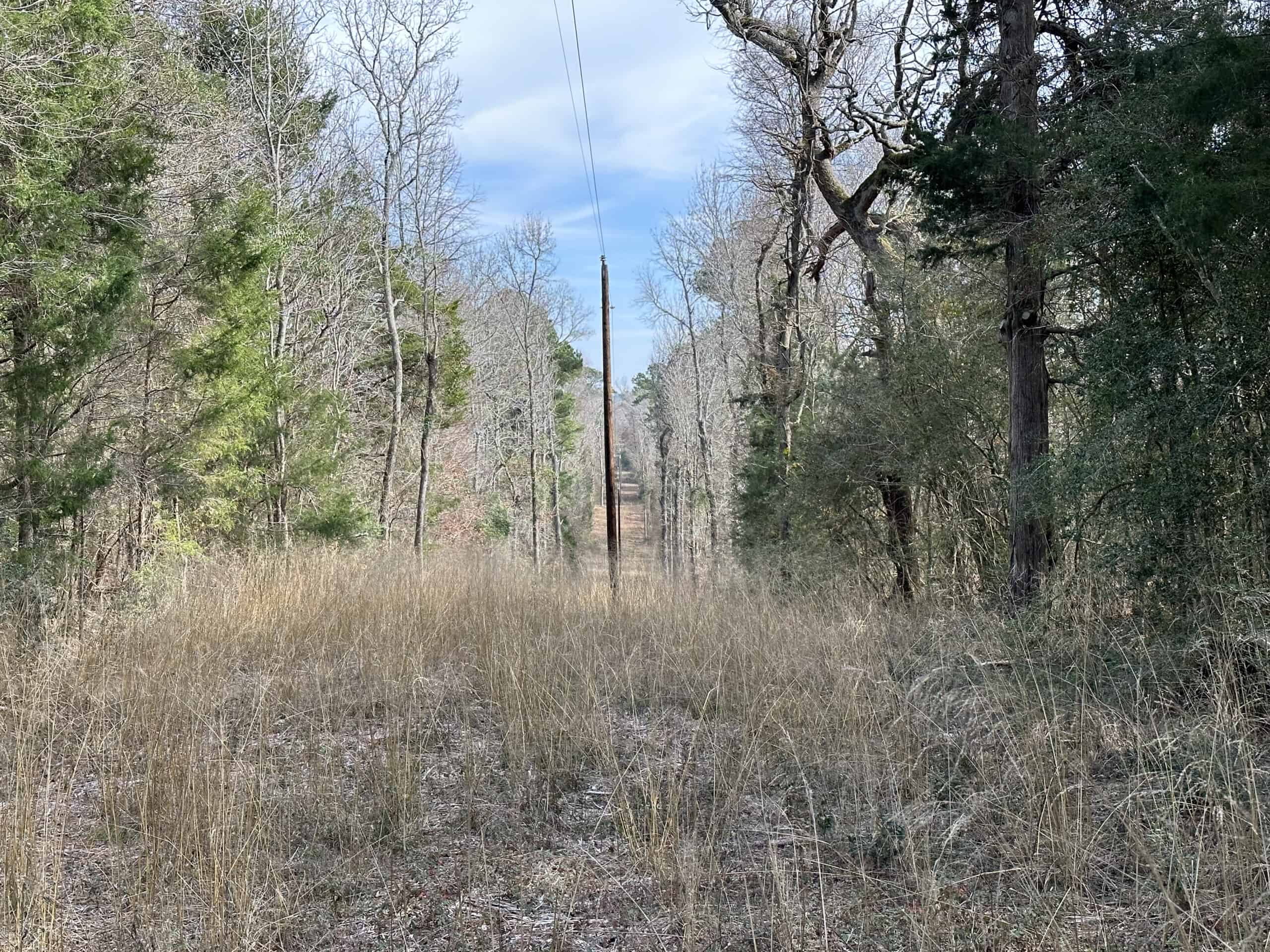 East Texas Recreational/Hunting Land For Sale