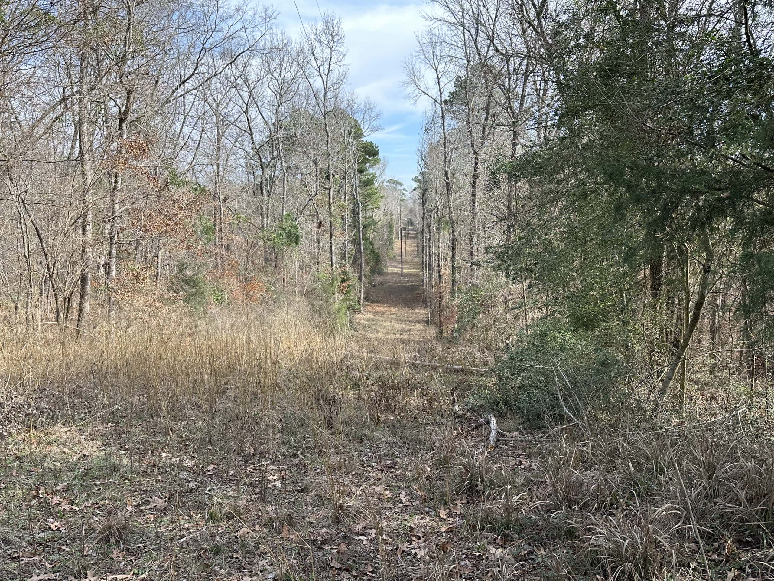 East Texas Recreational/Hunting Land For Sale