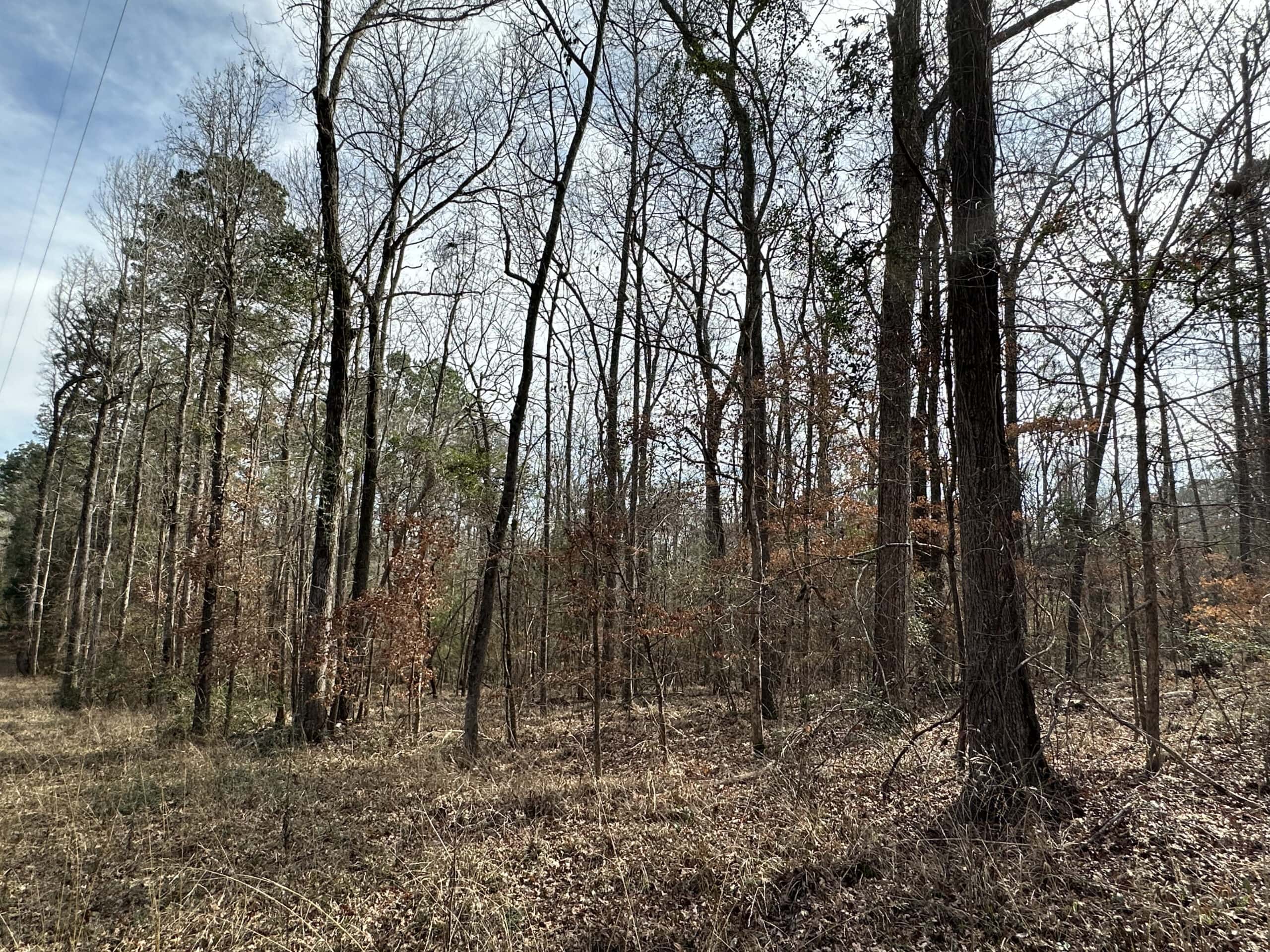 East Texas Recreational/Hunting Land For Sale