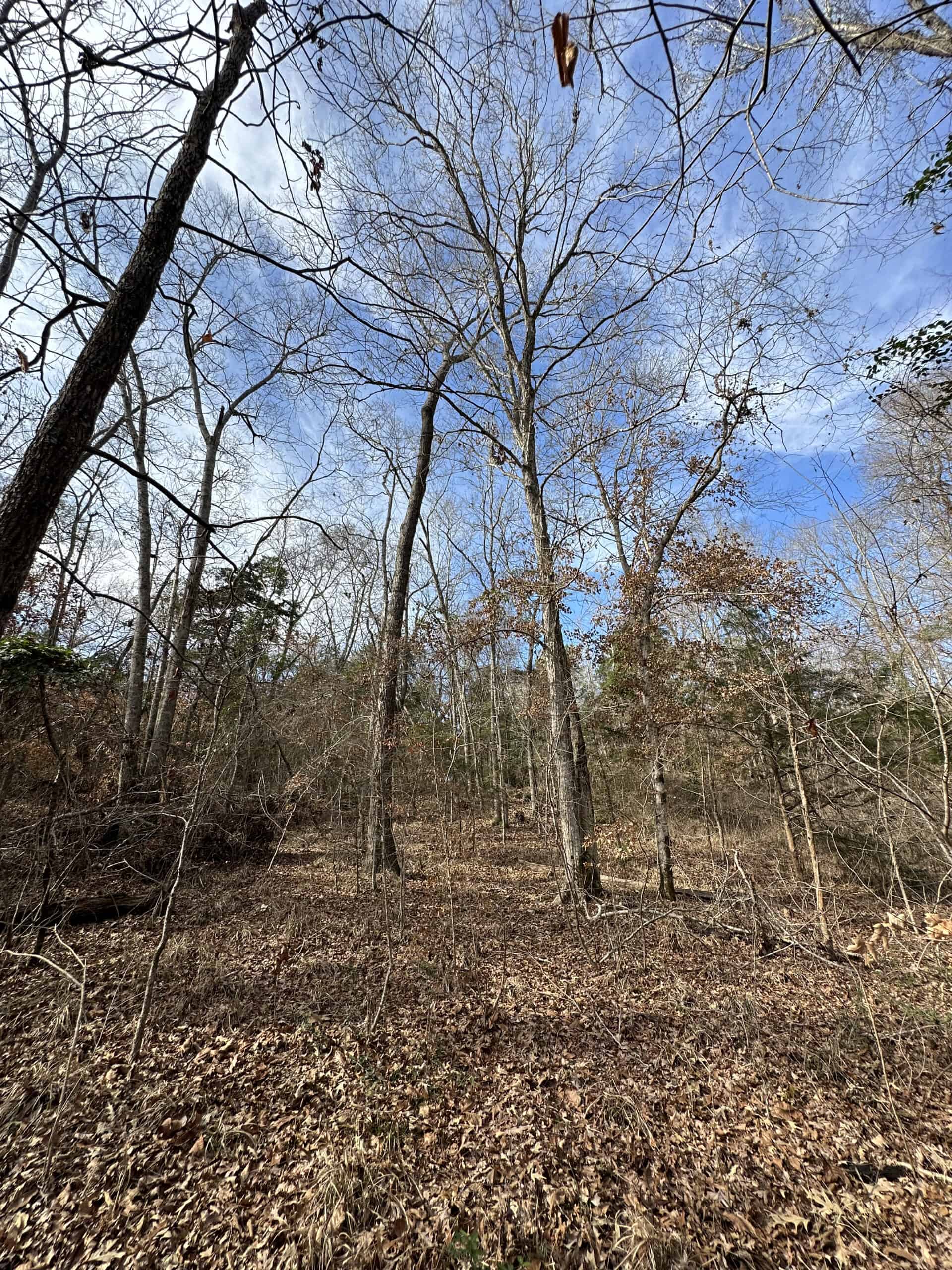 East Texas Recreational/Hunting Land For Sale