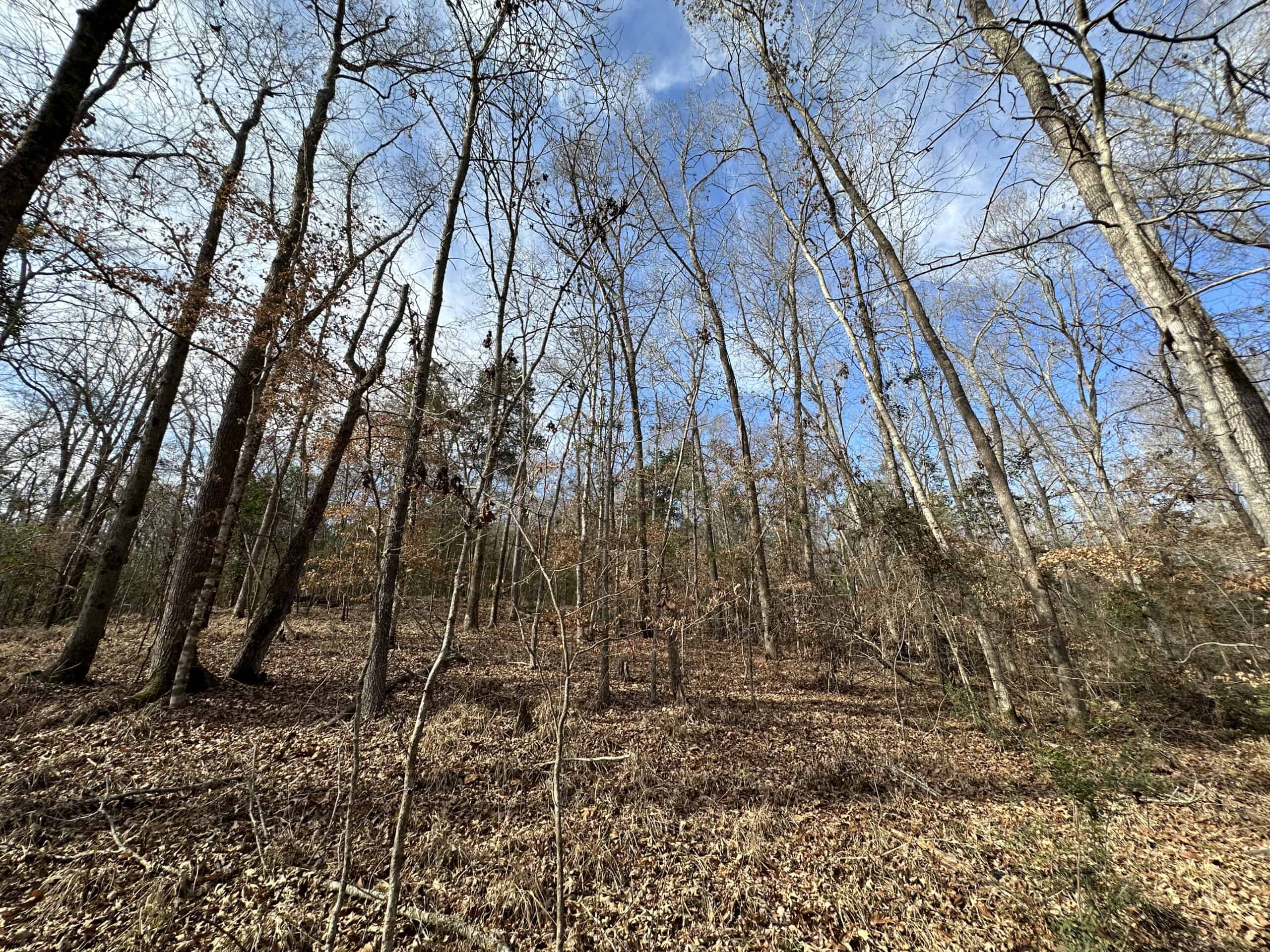 East Texas Recreational/Hunting Land For Sale