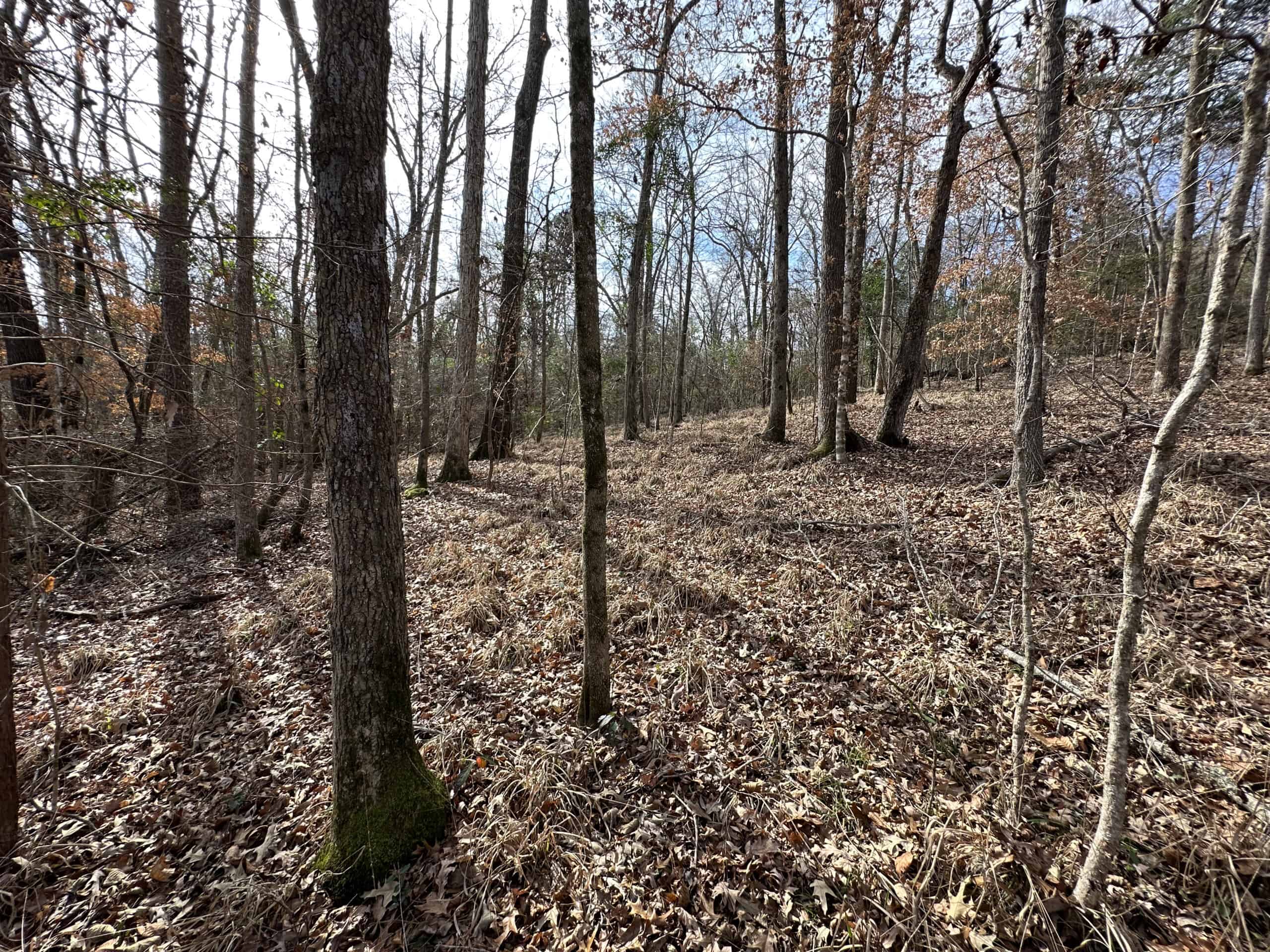 East Texas Recreational/Hunting Land For Sale