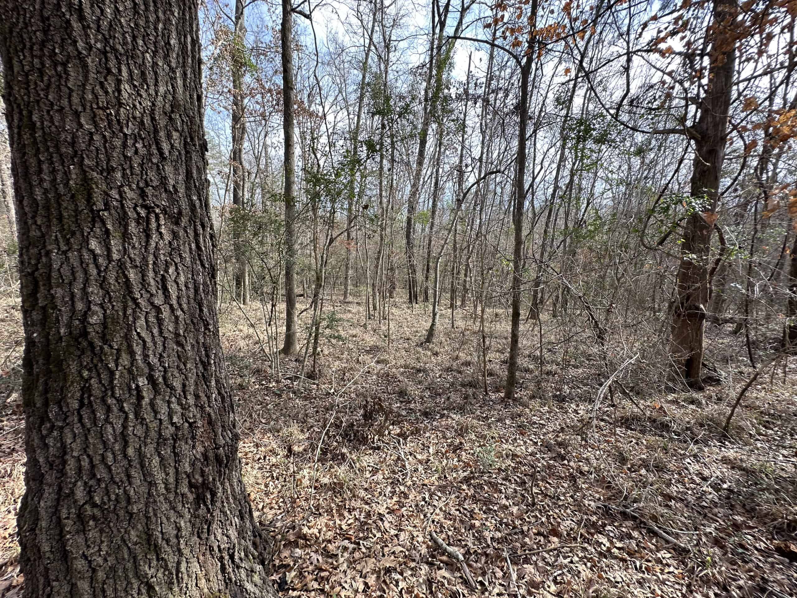 East Texas Recreational/Hunting Land For Sale