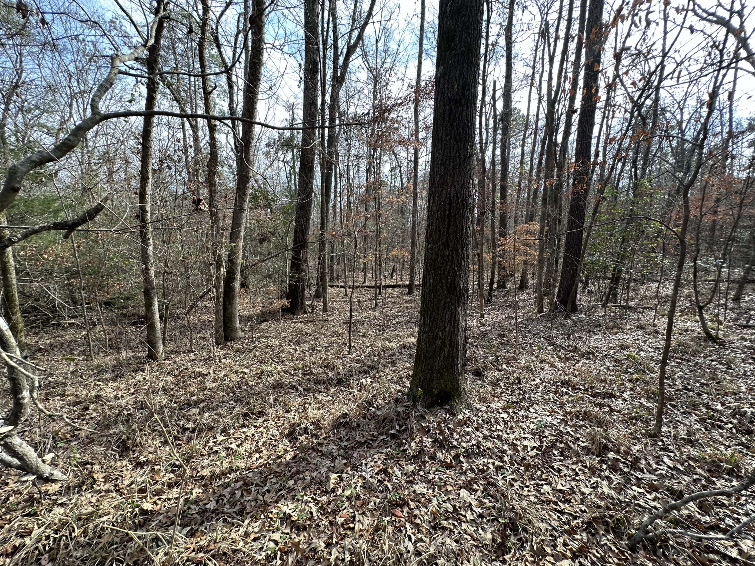 East Texas Recreational/Hunting Land For Sale