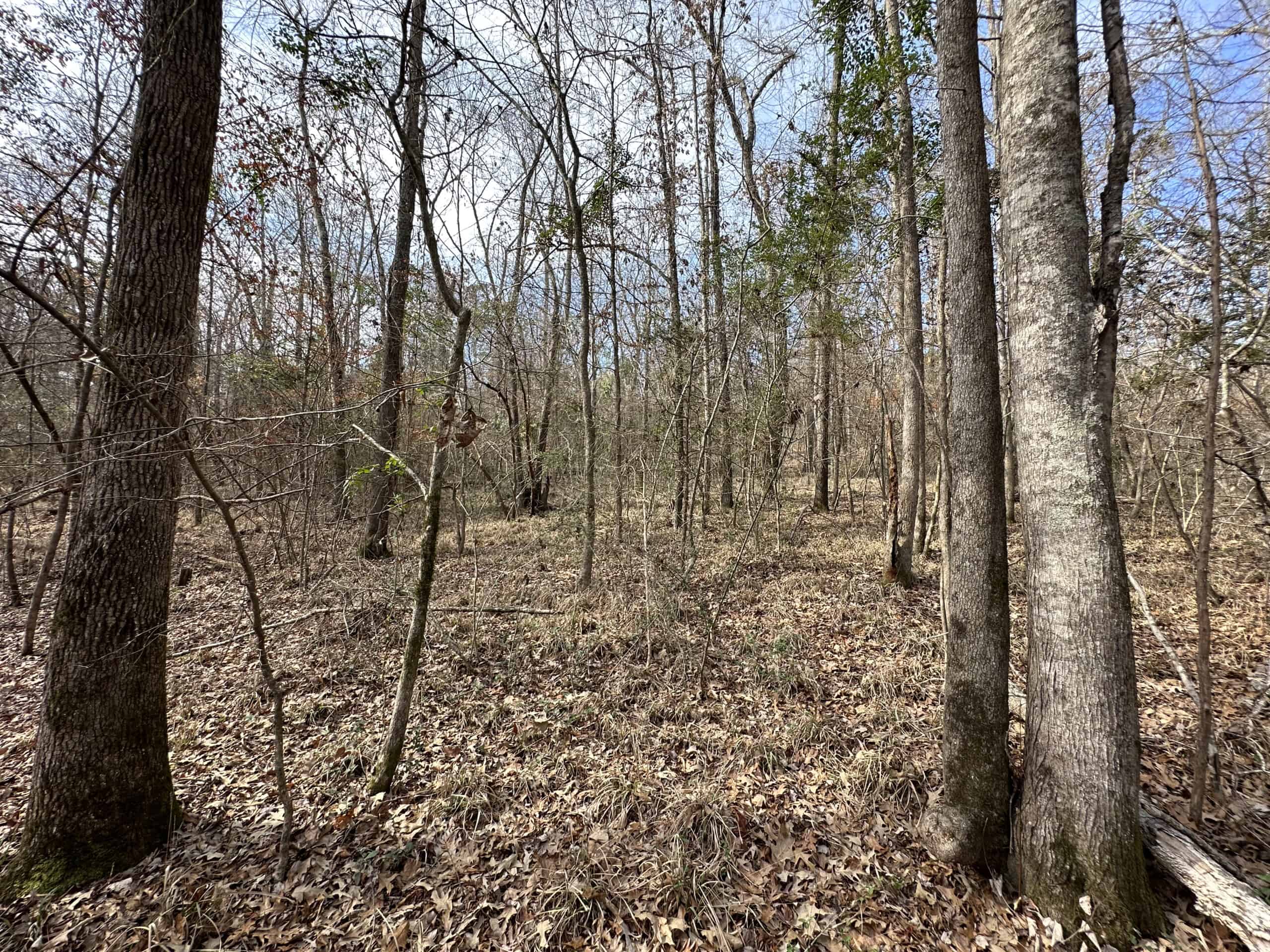 East Texas Recreational/Hunting Land For Sale