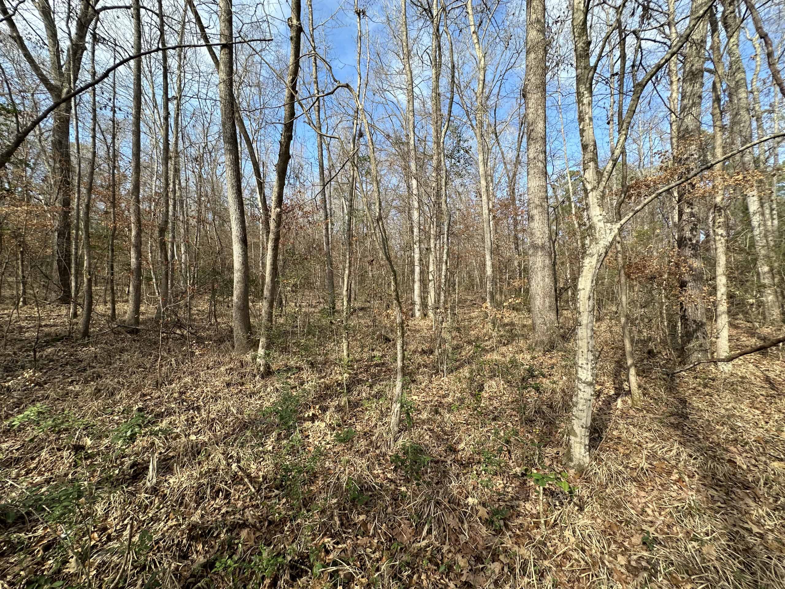 East Texas Recreational/Hunting Land For Sale