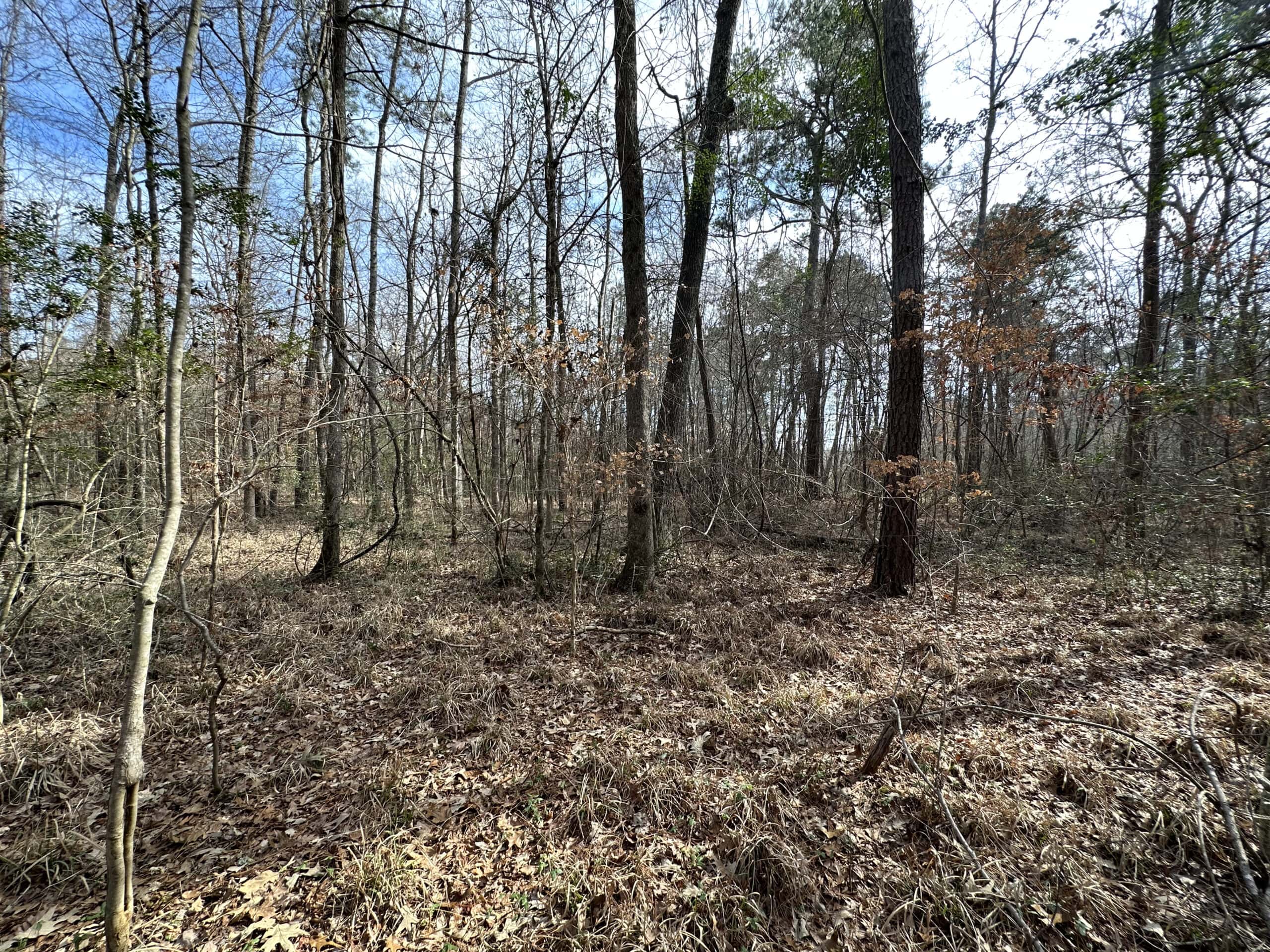 East Texas Recreational/Hunting Land For Sale