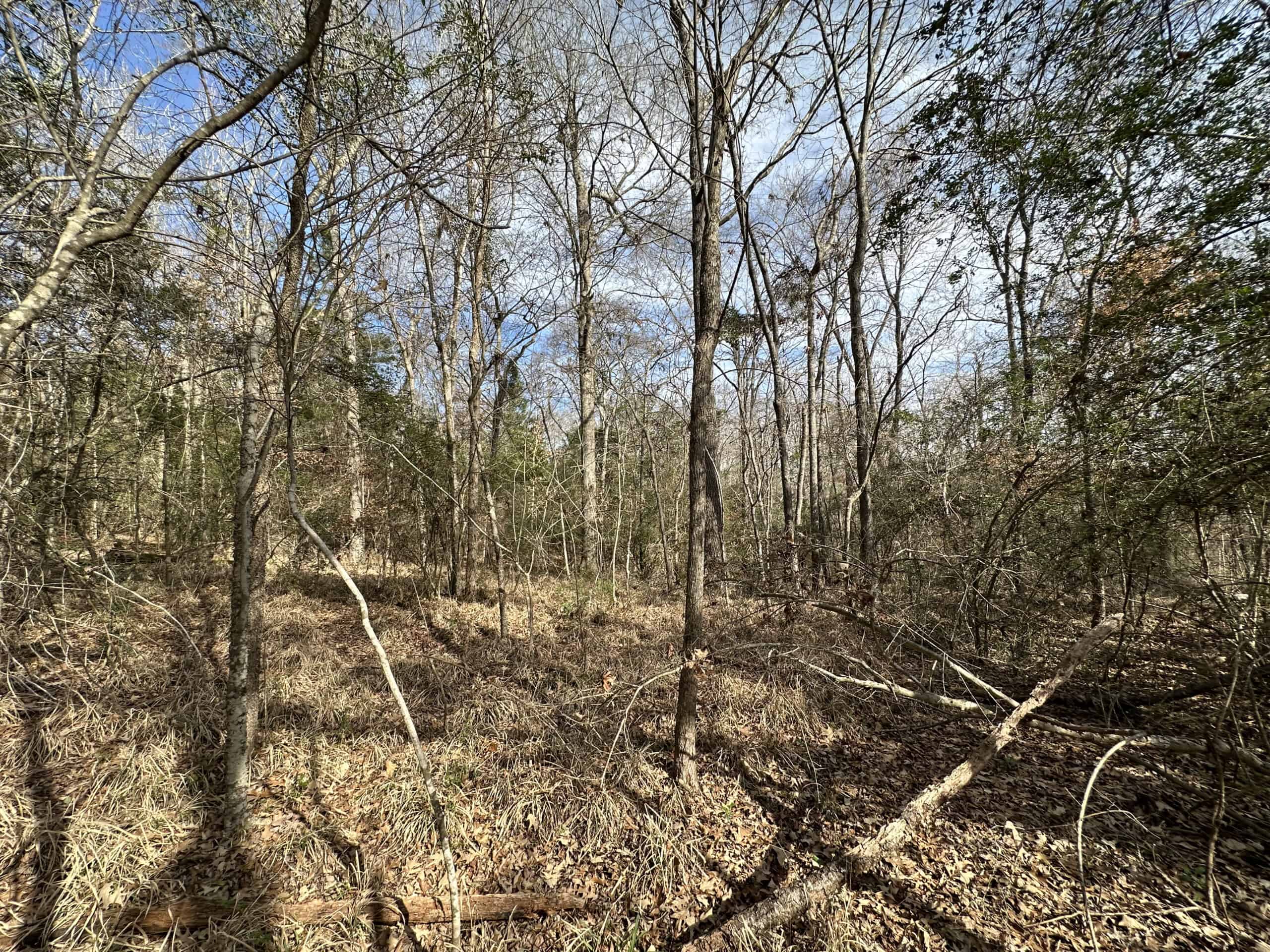 East Texas Recreational/Hunting Land For Sale