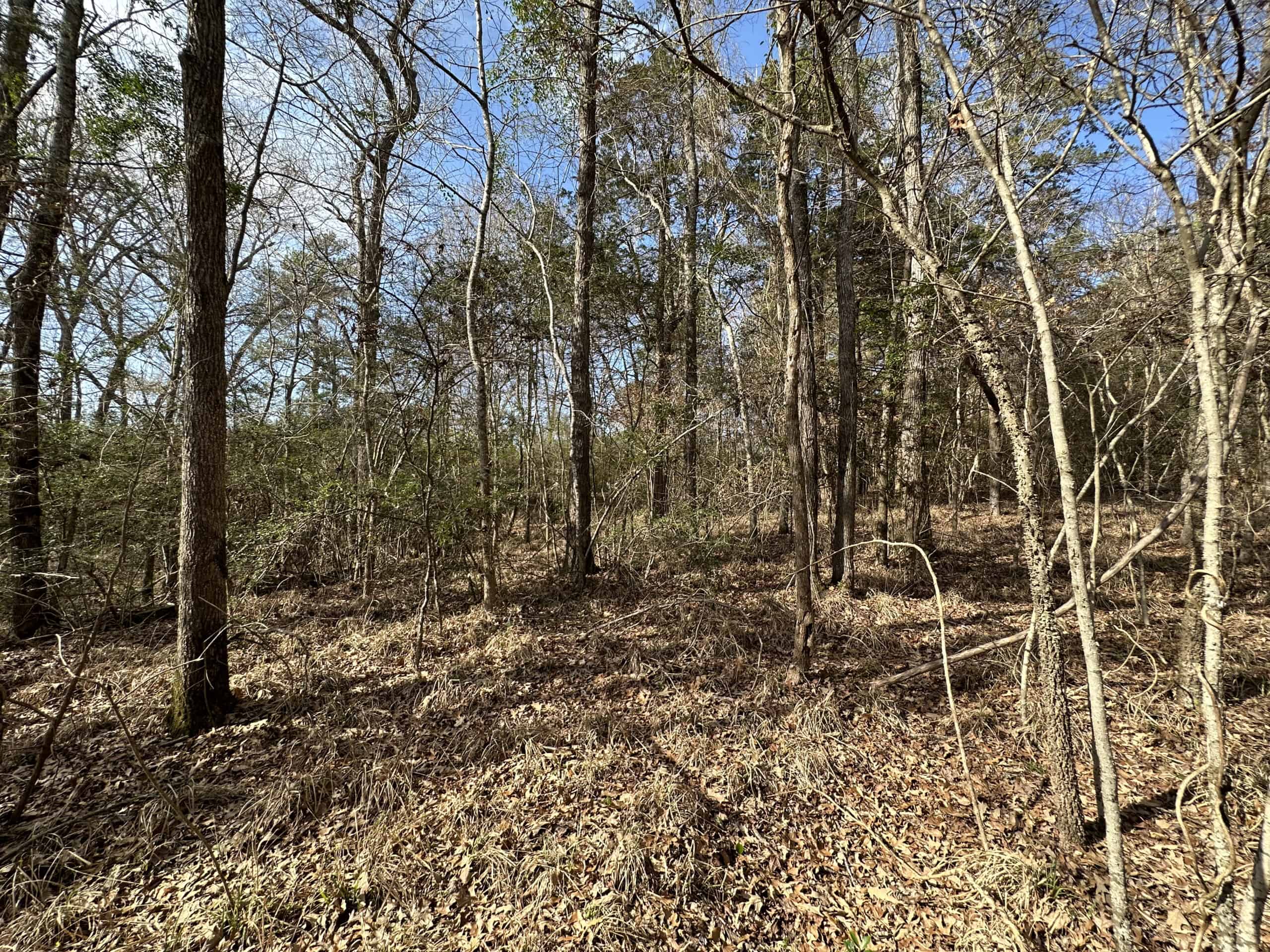 East Texas Recreational/Hunting Land For Sale