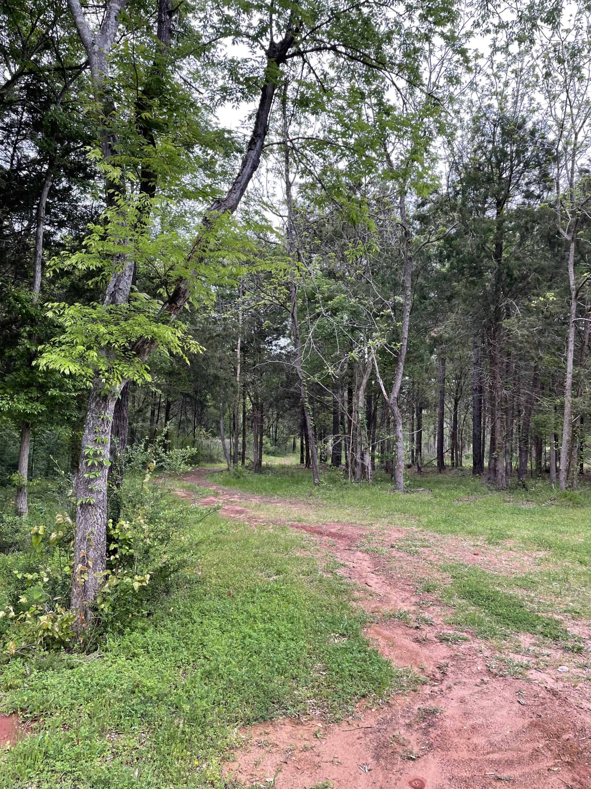 East Texas Recreational/Hunting Land For Sale