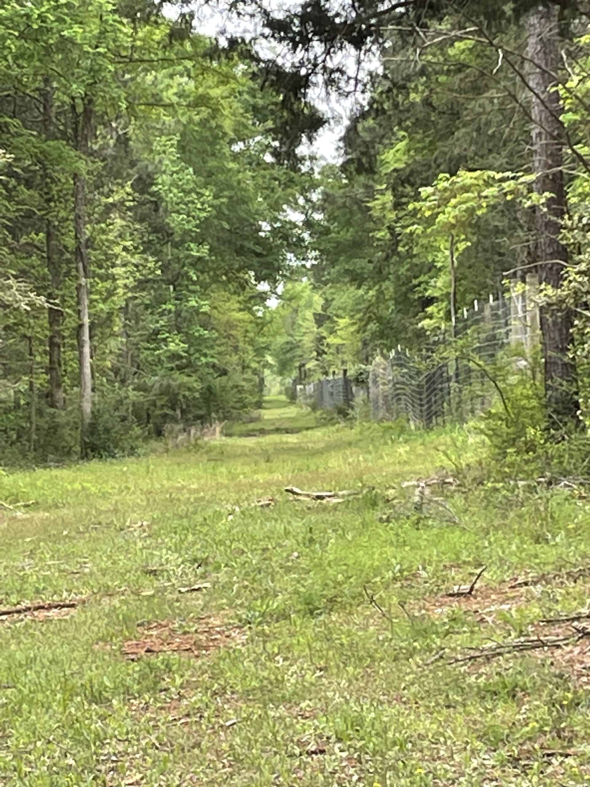 East Texas Recreational/Hunting Land For Sale