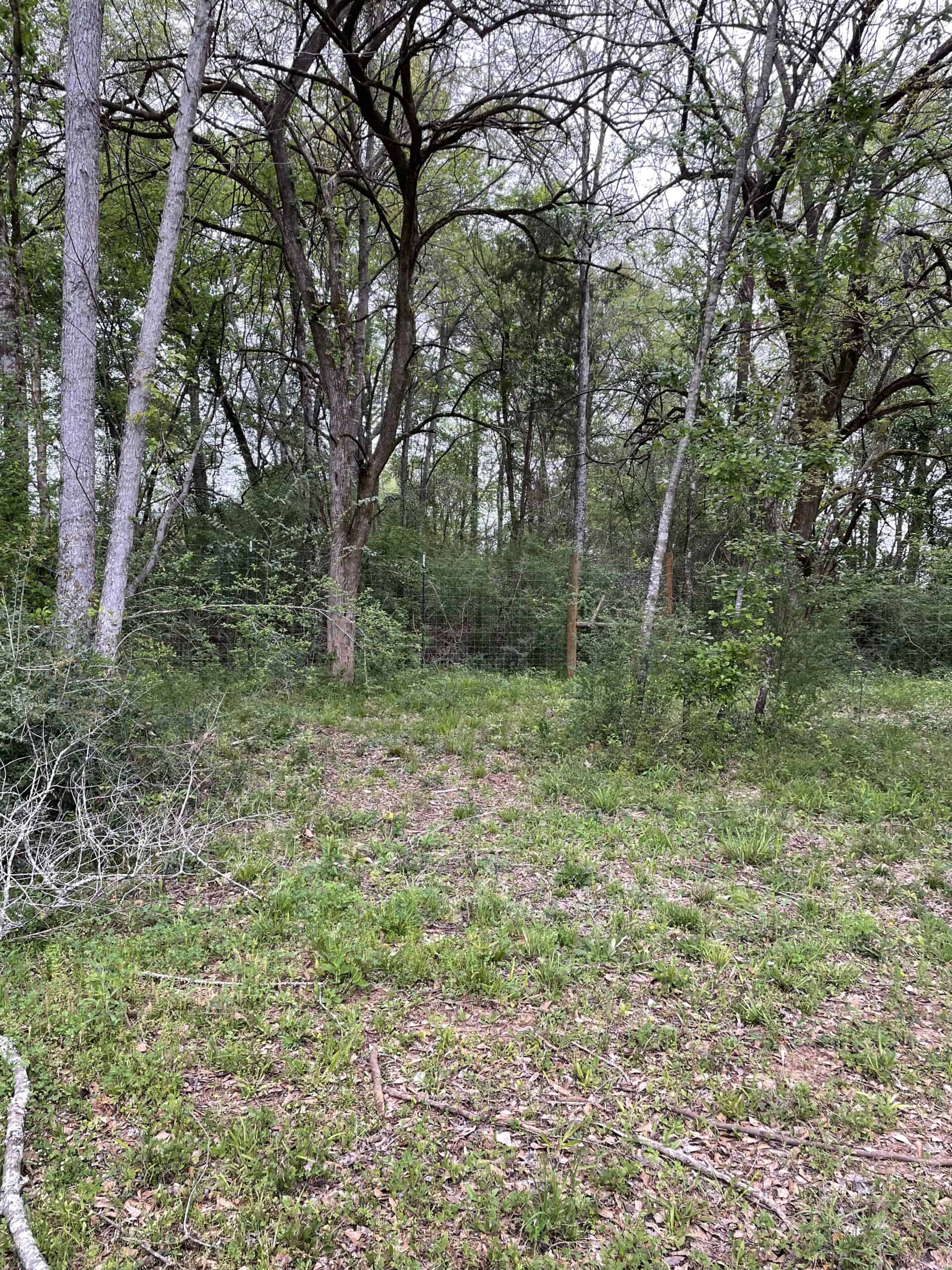 East Texas Recreational/Hunting Land For Sale