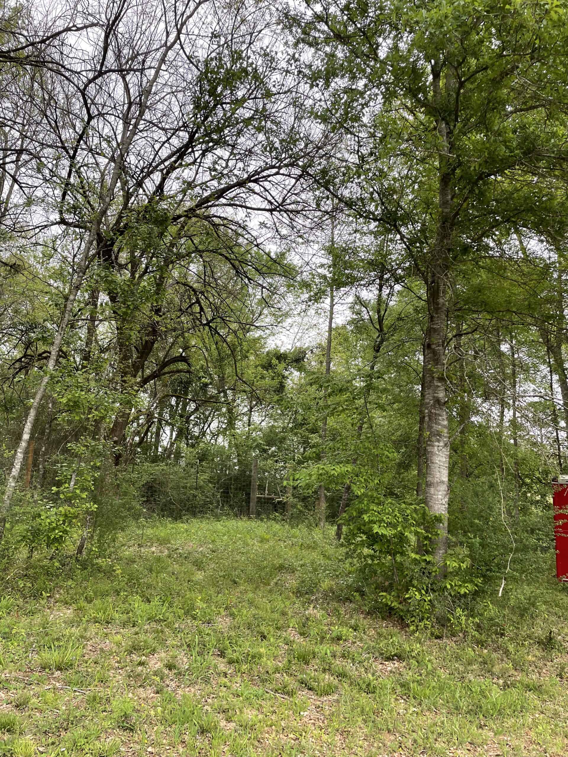 East Texas Recreational/Hunting Land For Sale