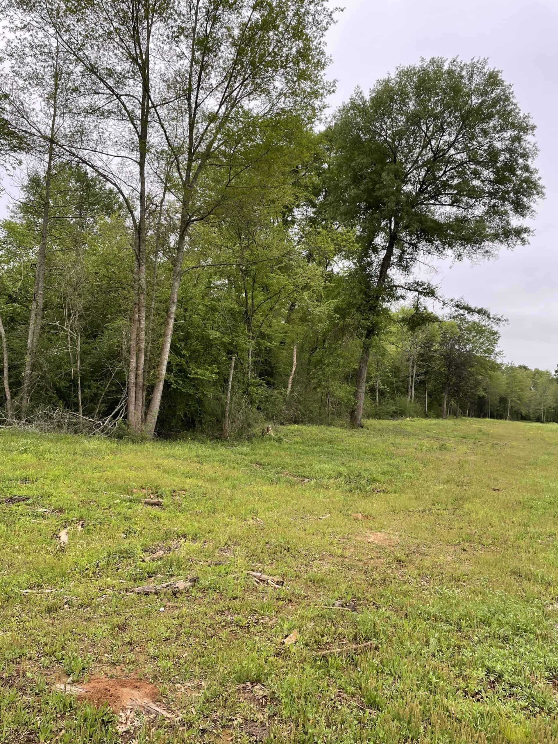 East Texas Recreational/Hunting Land For Sale